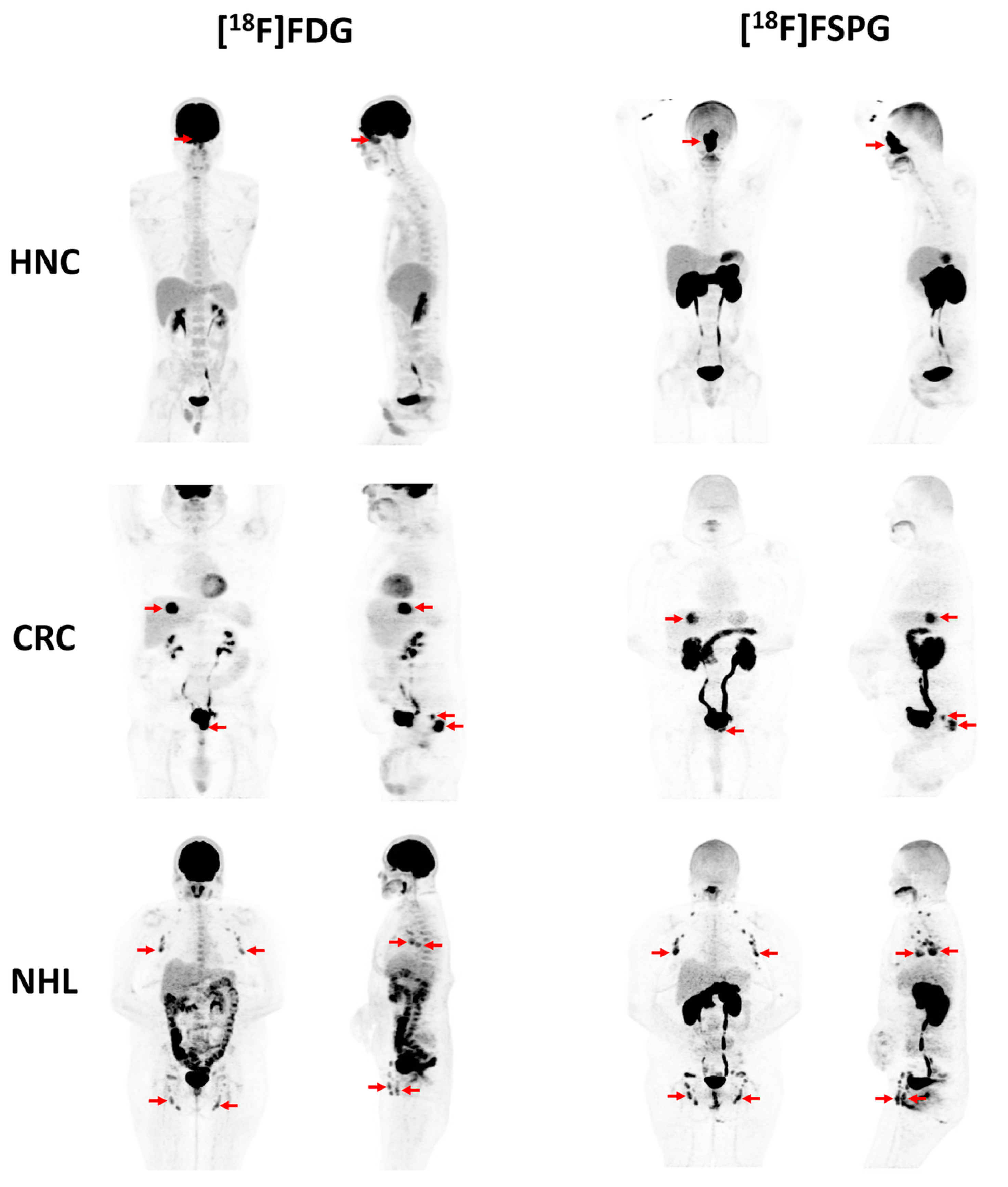 Molecules 27 06790 g003 Molecules 27 06790 g003