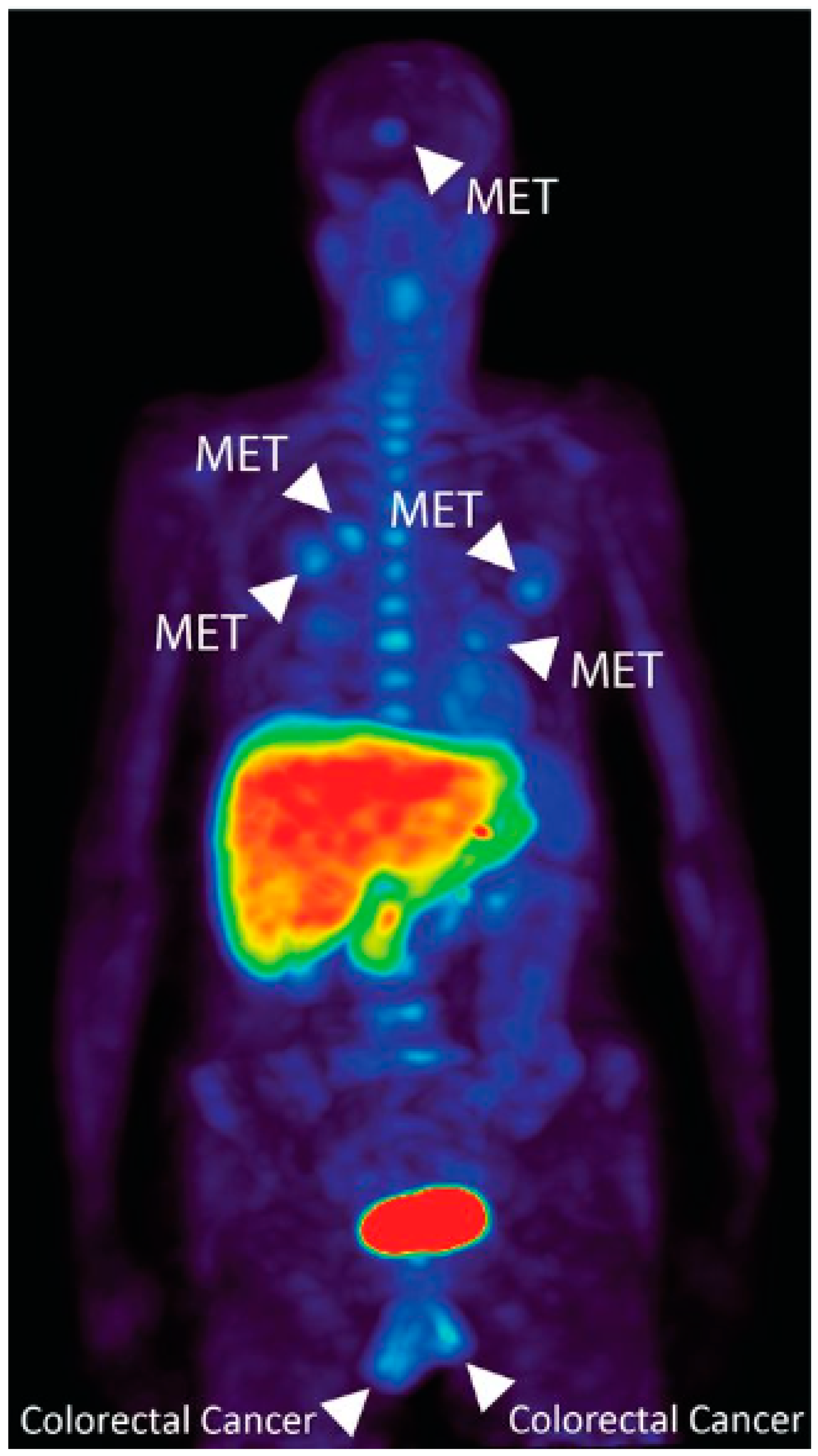 Molecules 27 06790 g004 Molecules 27 06790 g004