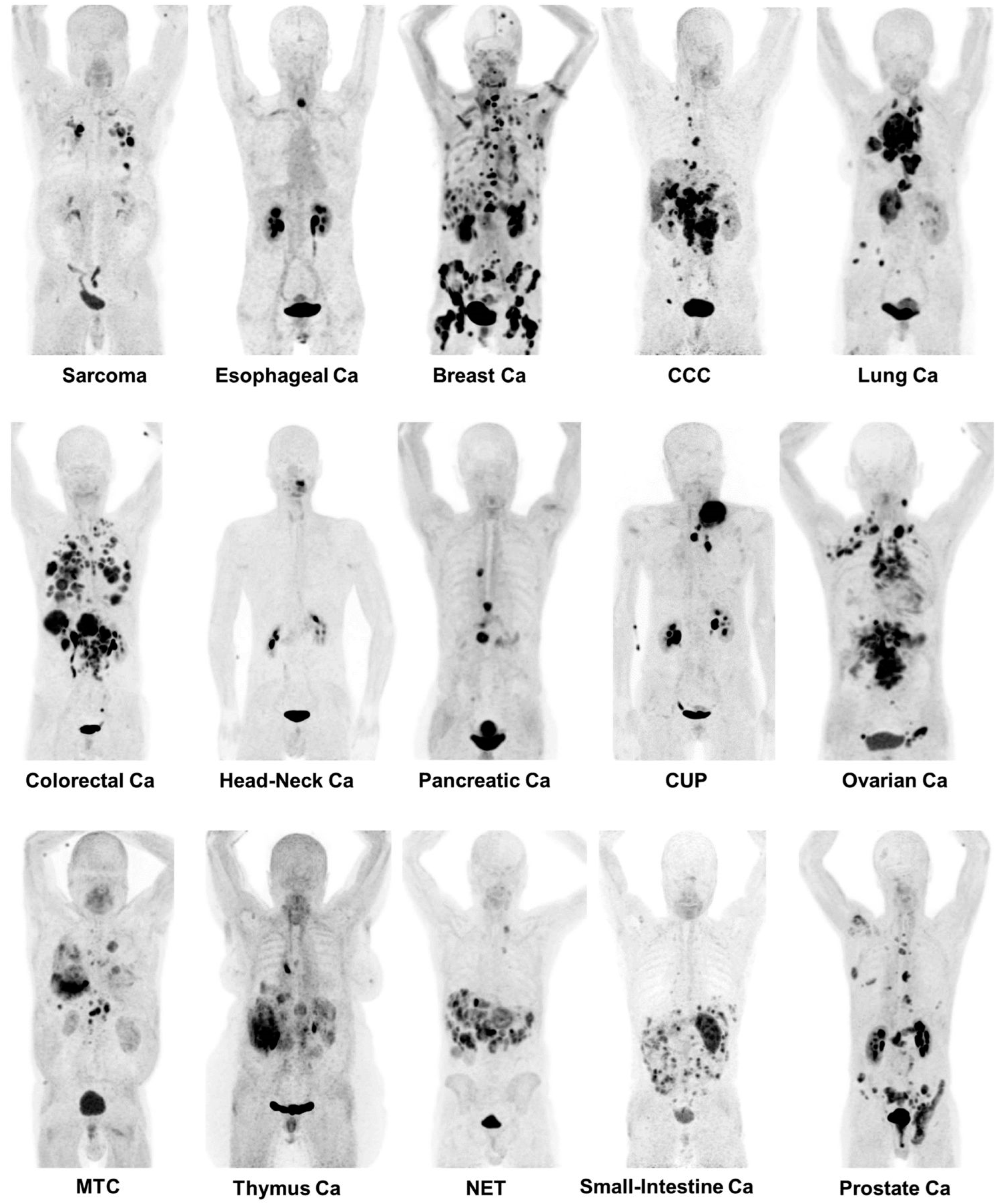 Molecules 27 06790 g010 Molecules 27 06790 g010