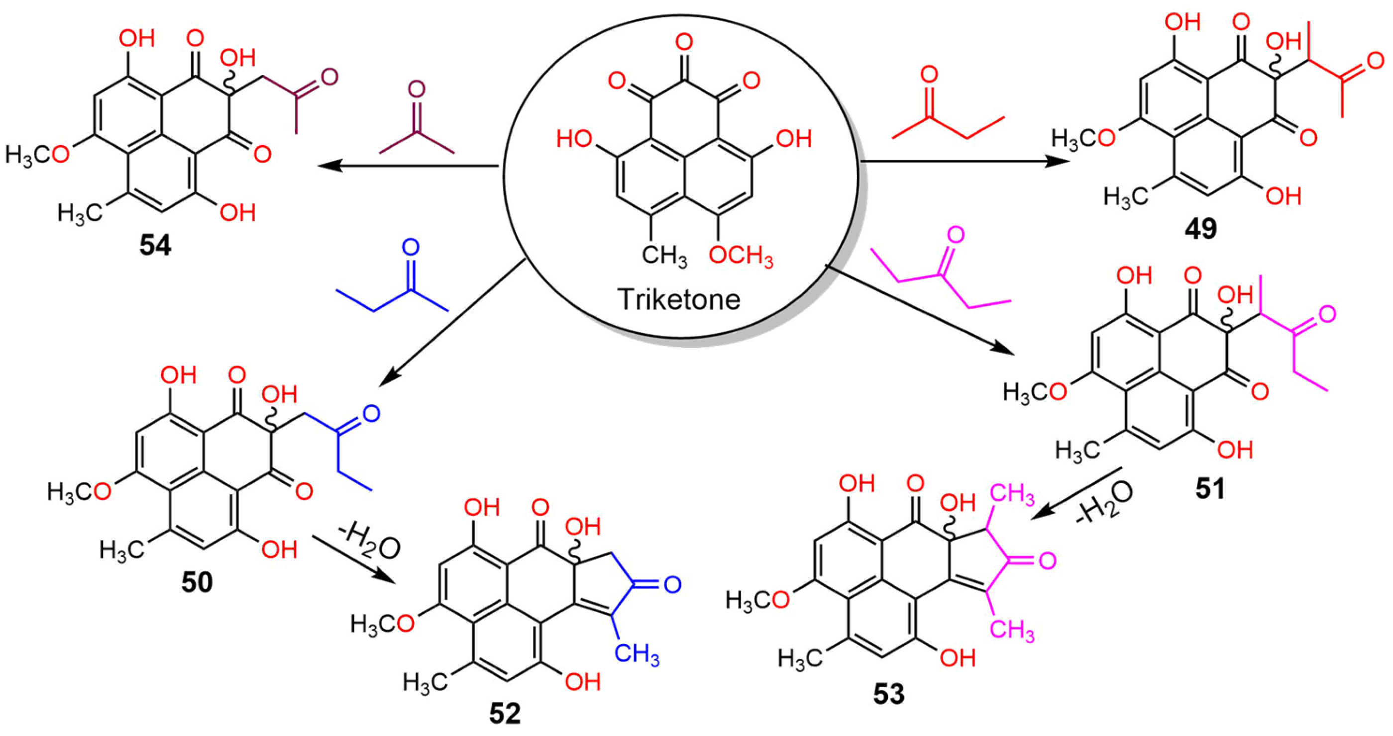 Molecules 27 06797 sch003