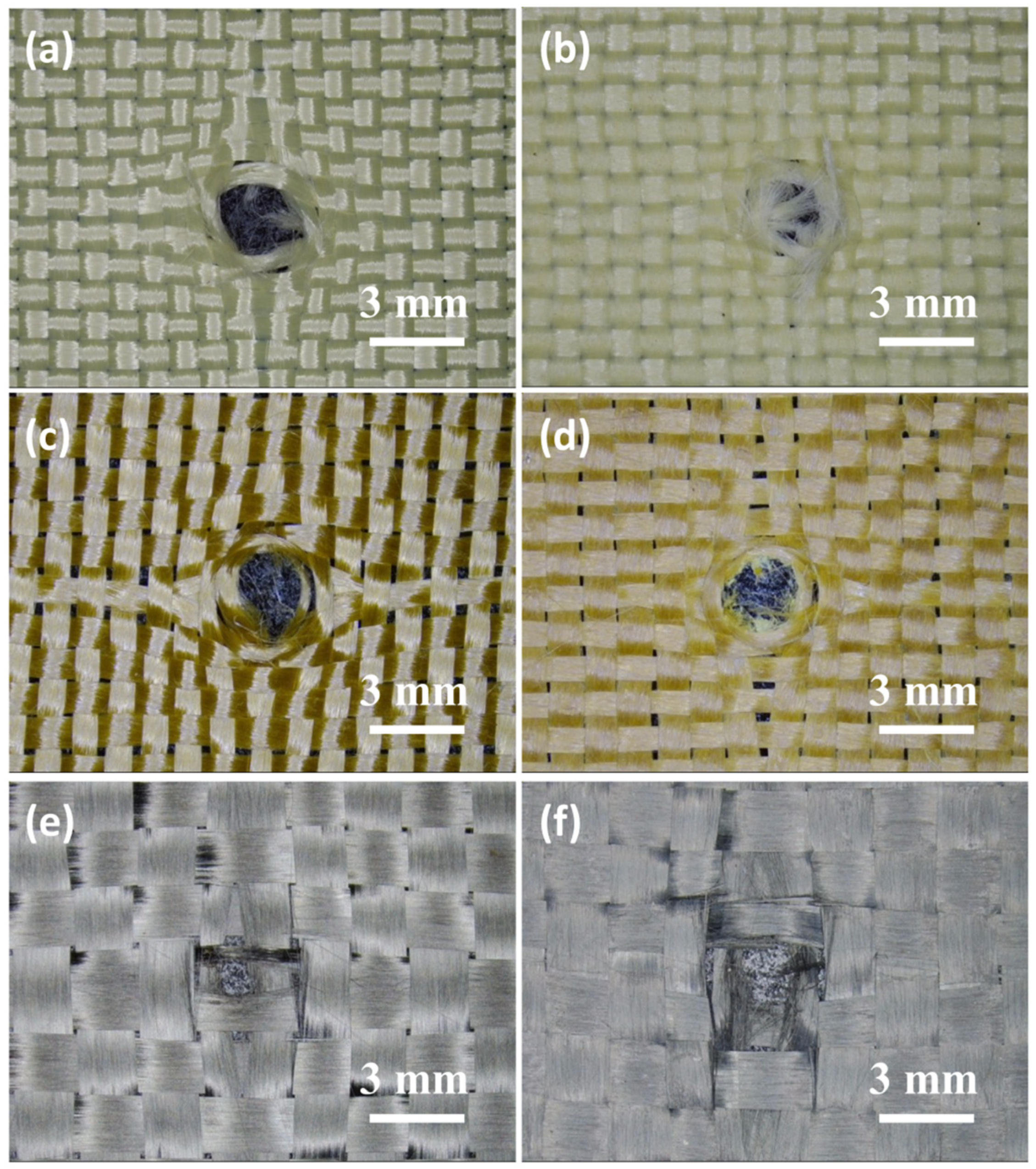 Molecules 27 06799 g005