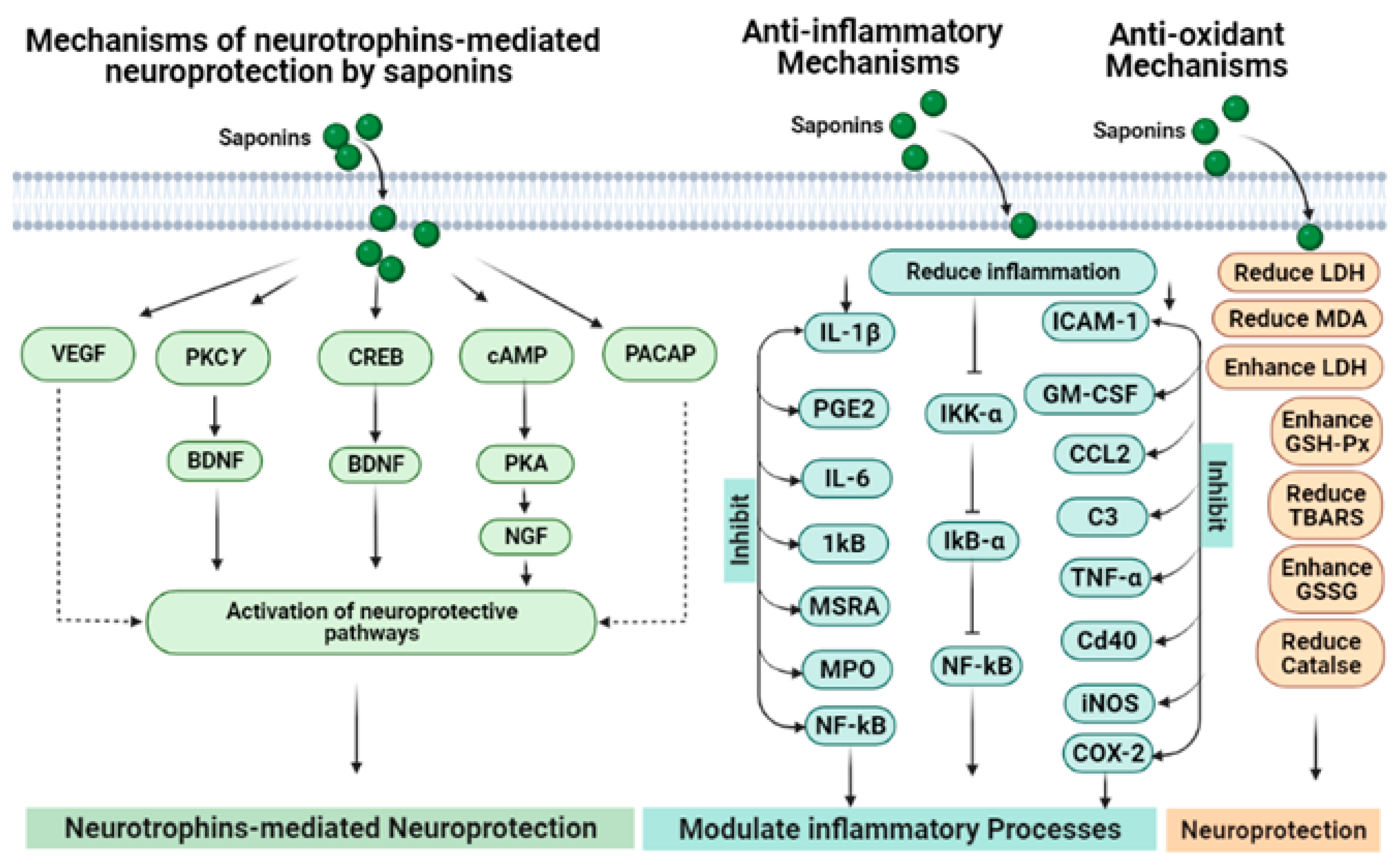 Molecules 27 06804 g007 Molecules 27 06804 g007