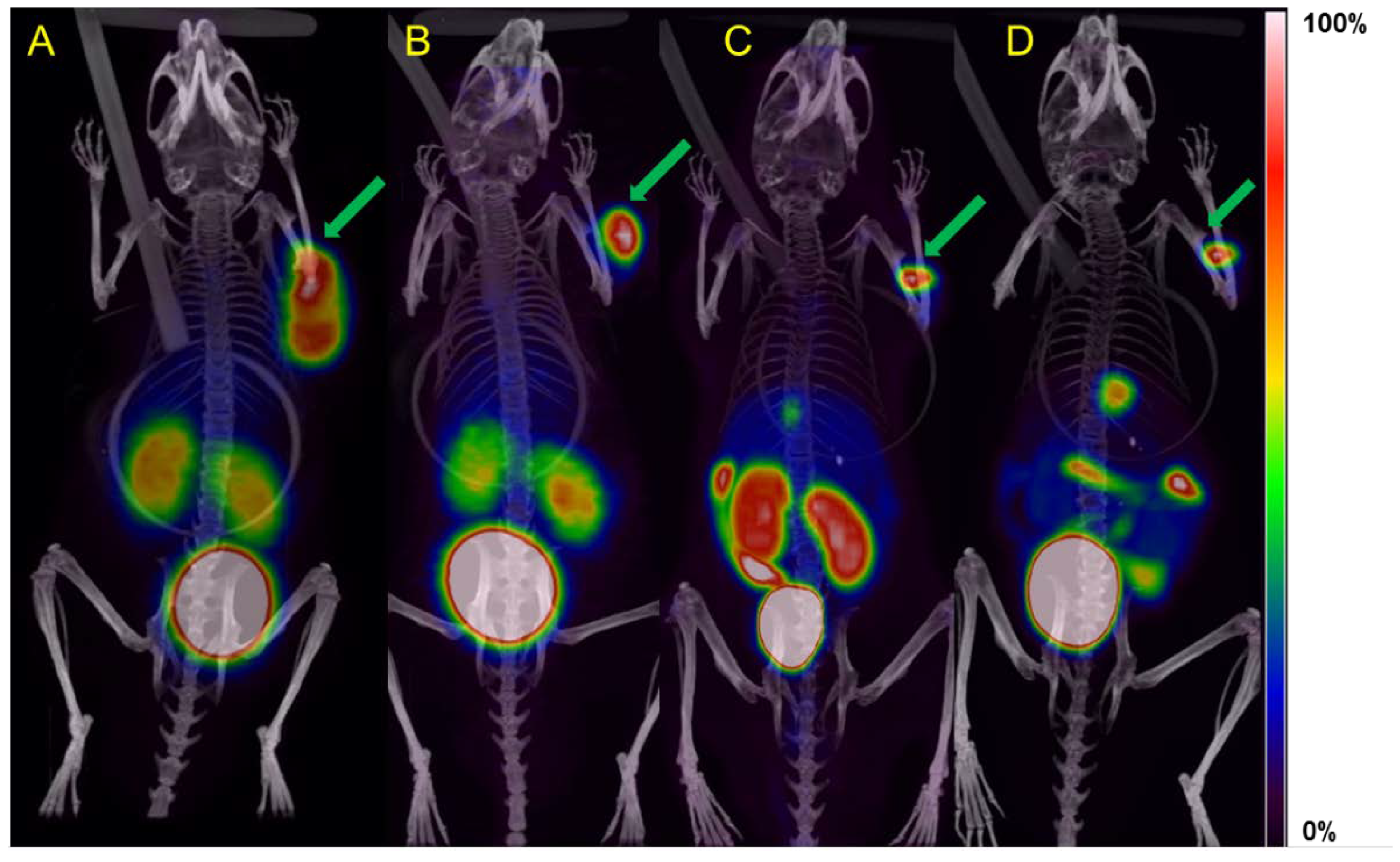 Molecules 27 06818 g003