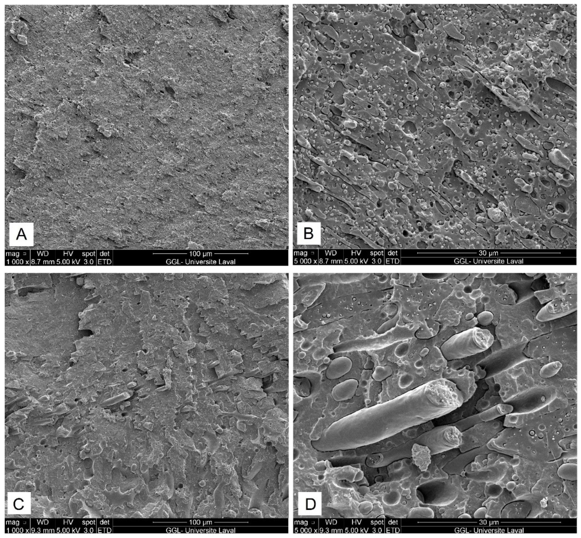 Molecules 27 06819 g002 Molecules 27 06819 g002