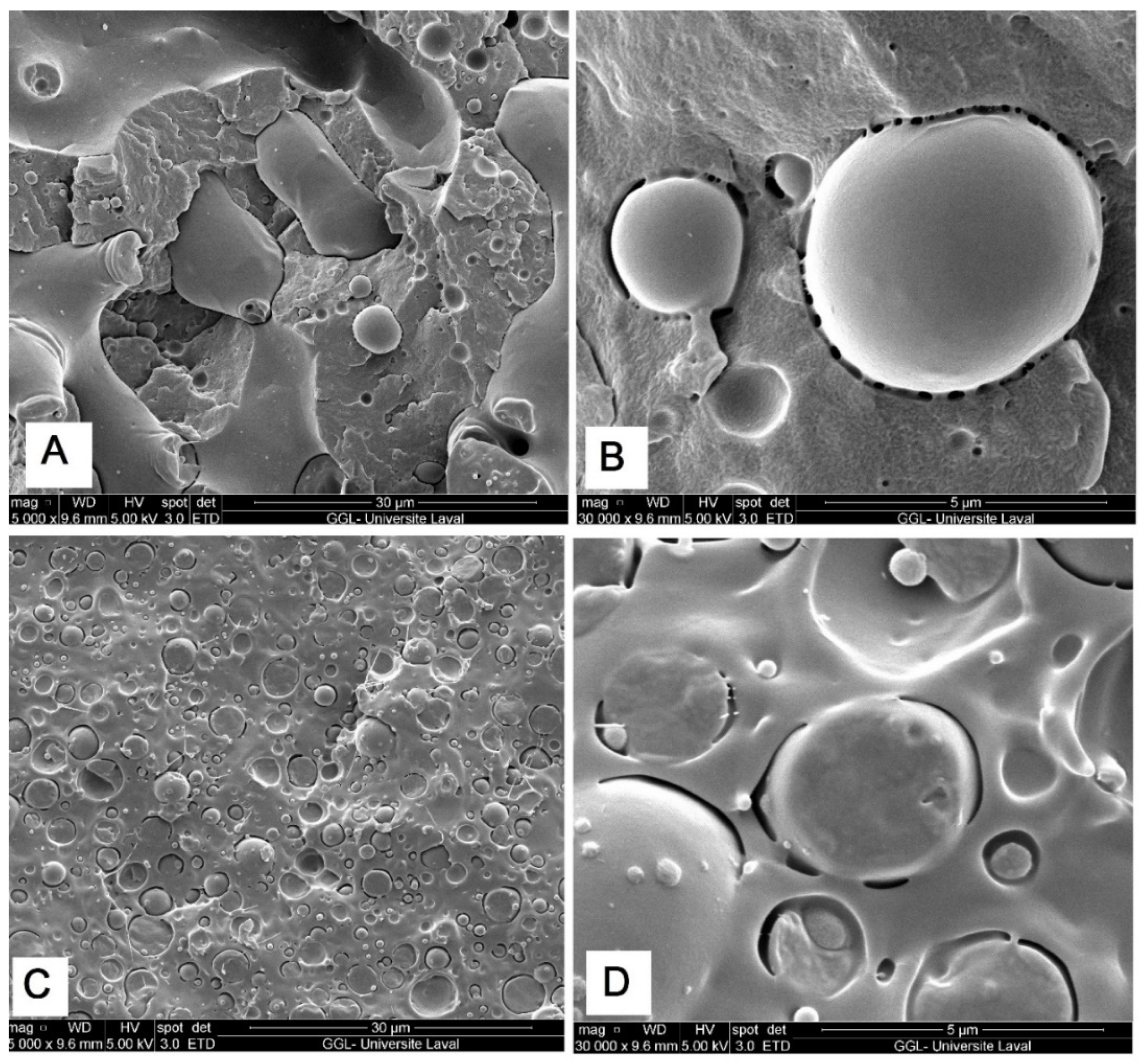 Molecules 27 06819 g003 Molecules 27 06819 g003