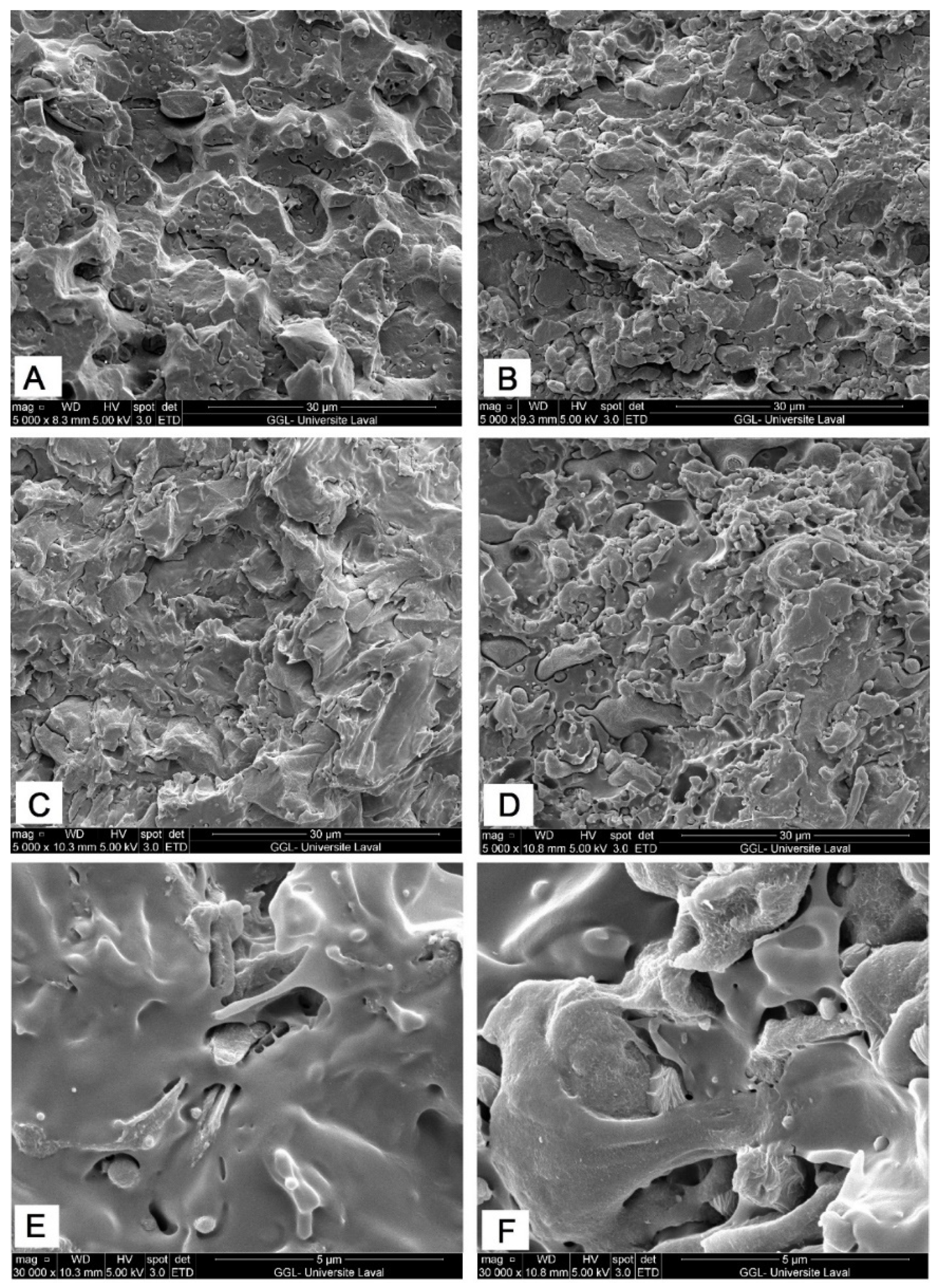 Molecules 27 06819 g004 Molecules 27 06819 g004