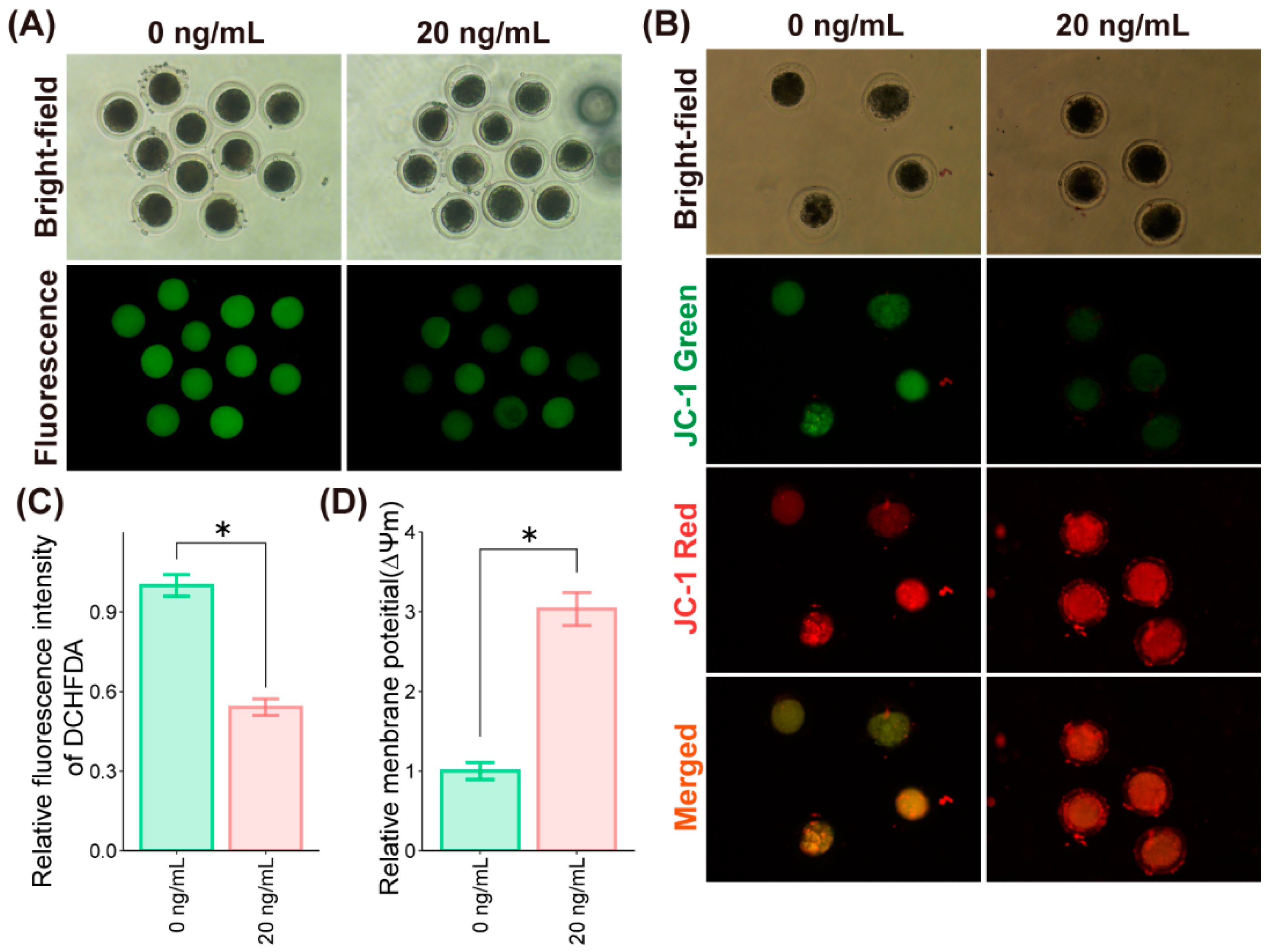 Molecules 27 06830 g003 Molecules 27 06830 g003