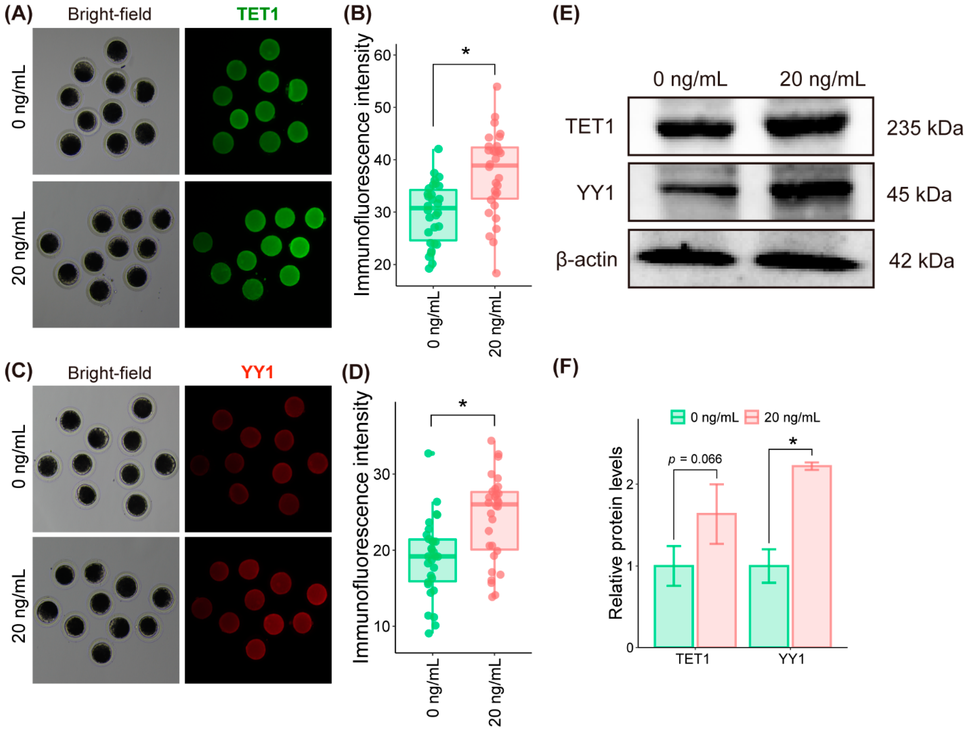 Molecules 27 06830 g008 Molecules 27 06830 g008