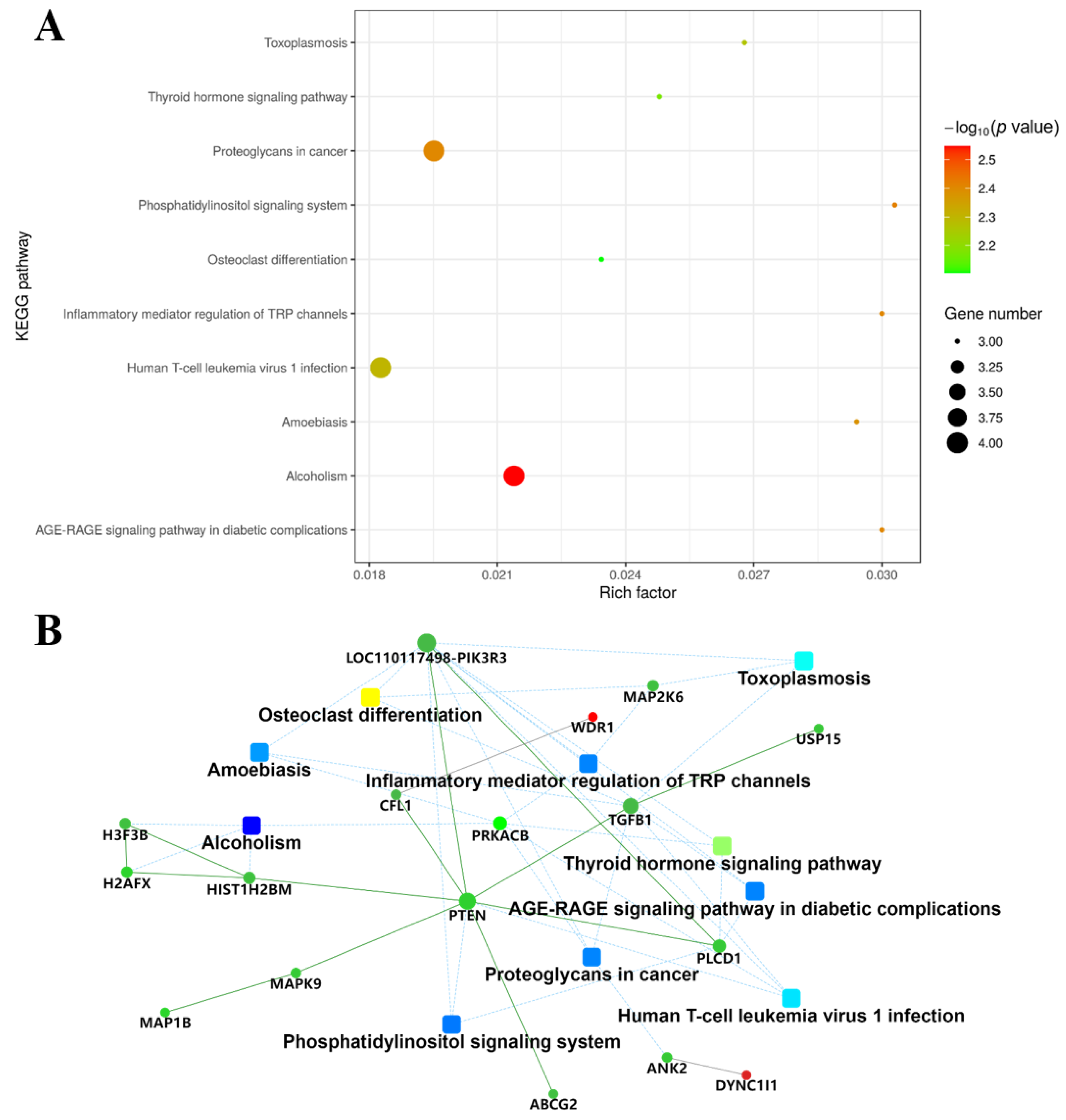 Molecules 27 06849 g004