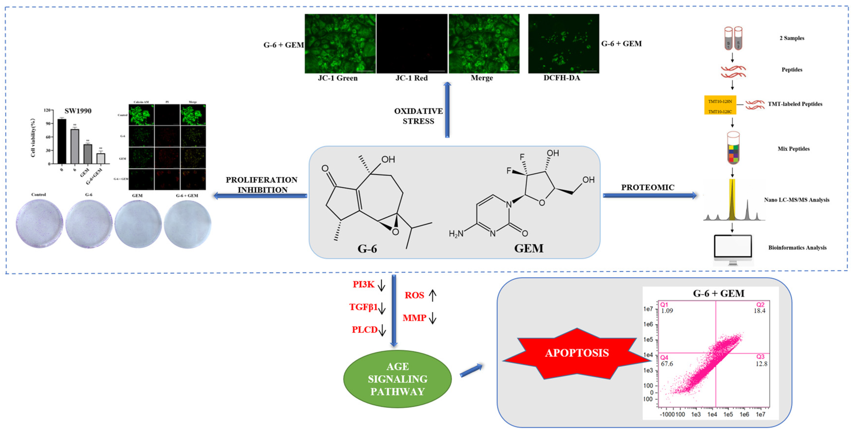 Molecules 27 06849 g007