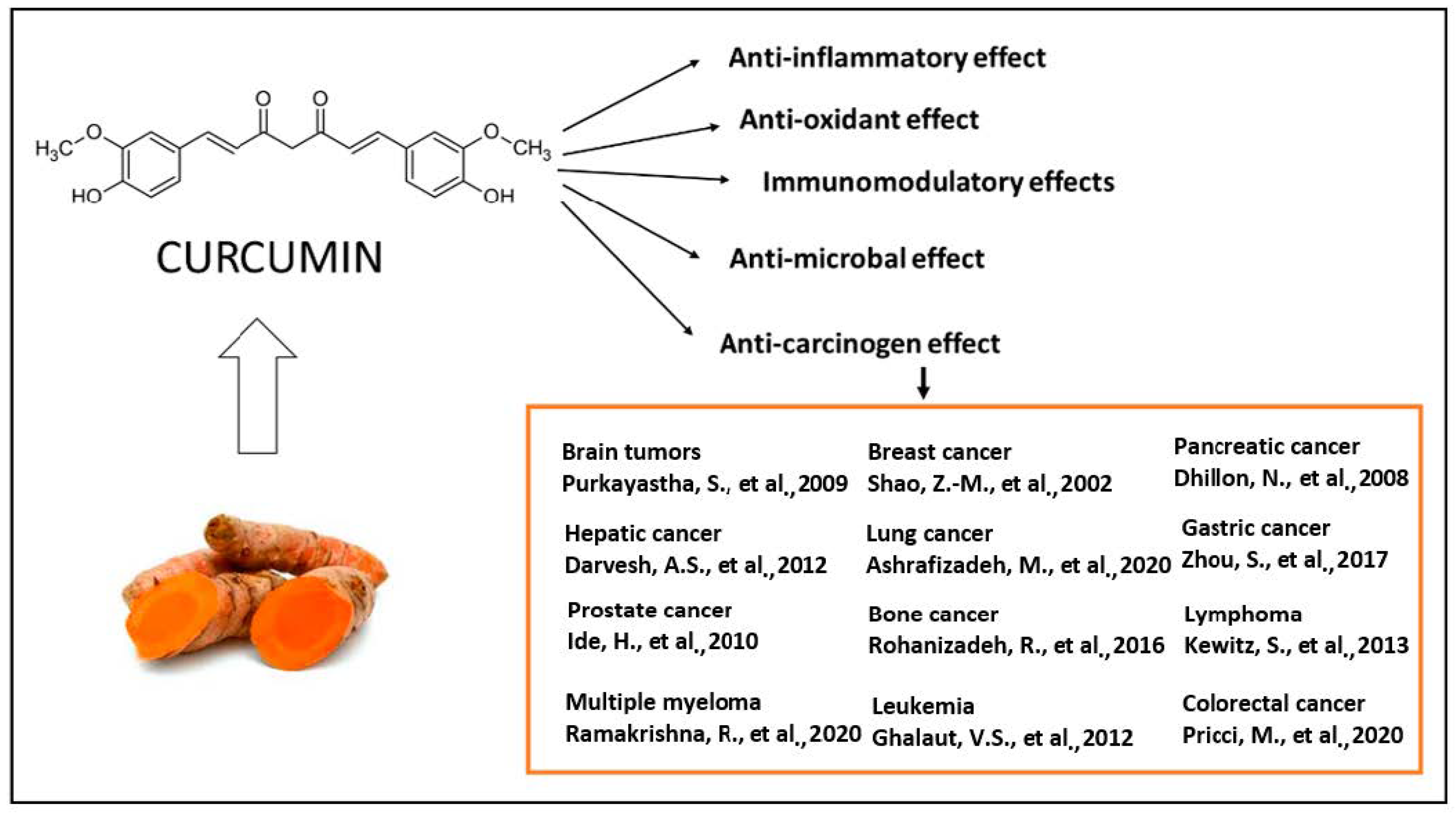 Molecules Free FullText Strategies for Improving Bioavailability
