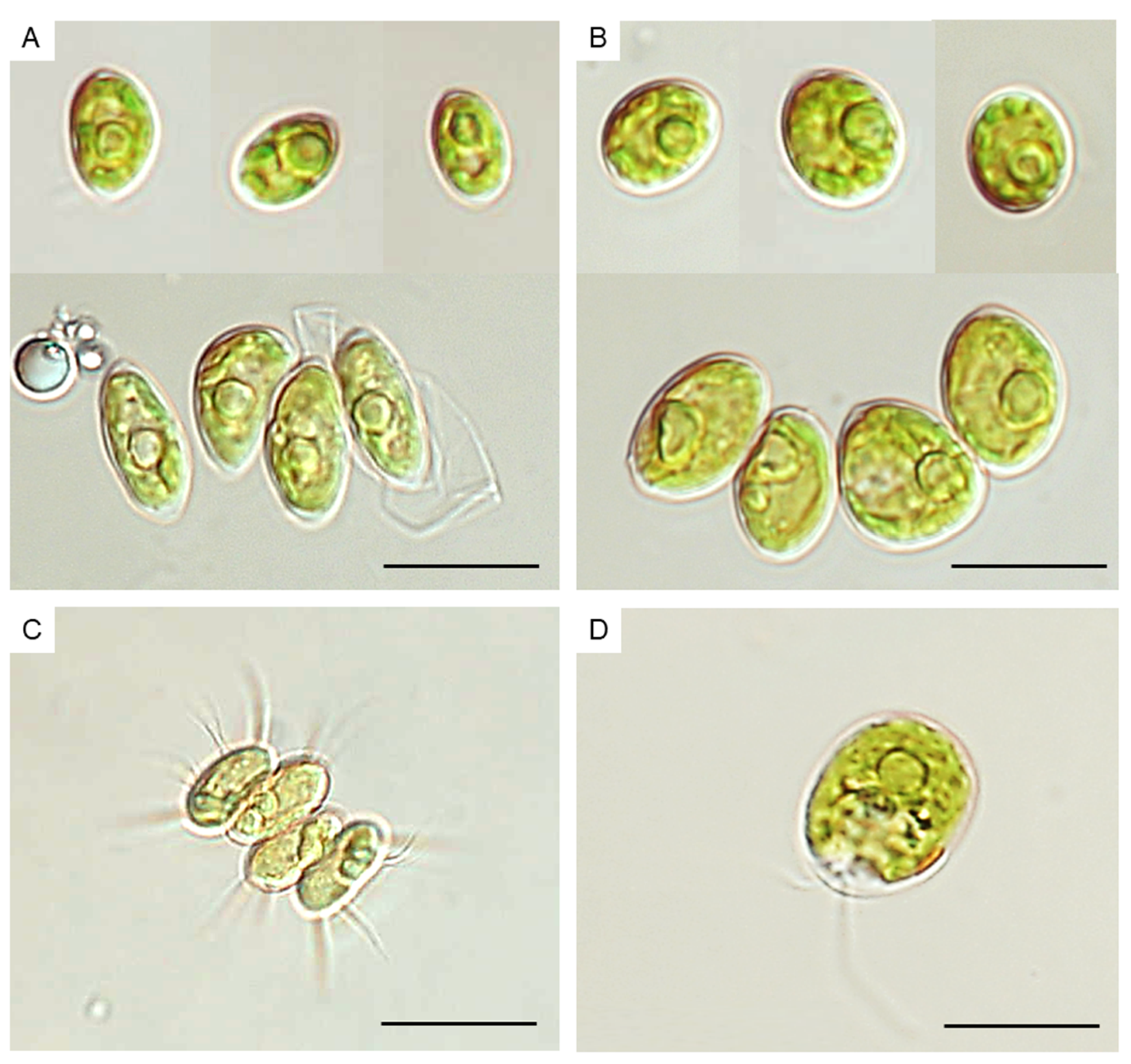 Molecules 27 06856 g001 Molecules 27 06856 g001