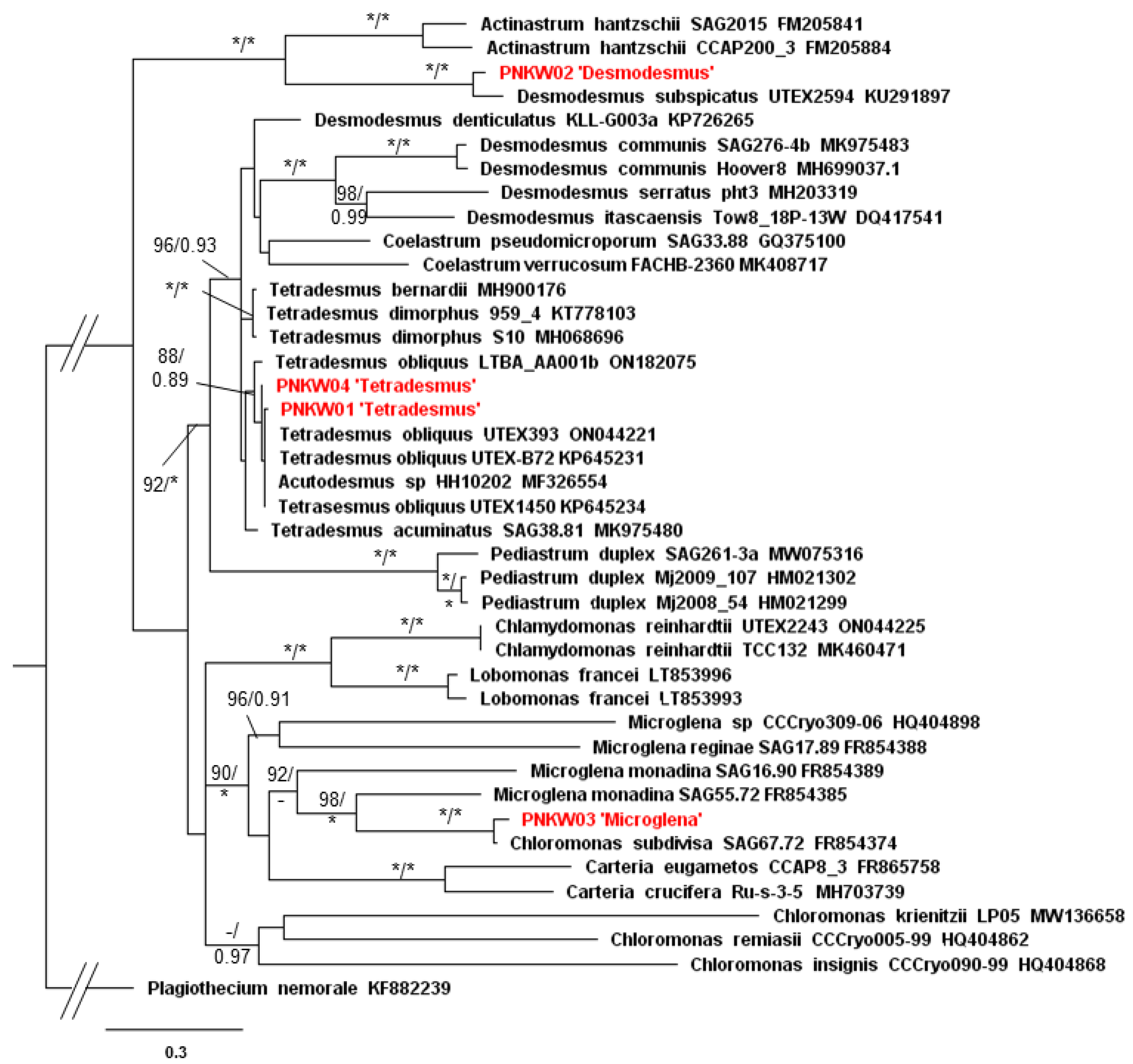 Molecules 27 06856 g002 Molecules 27 06856 g002