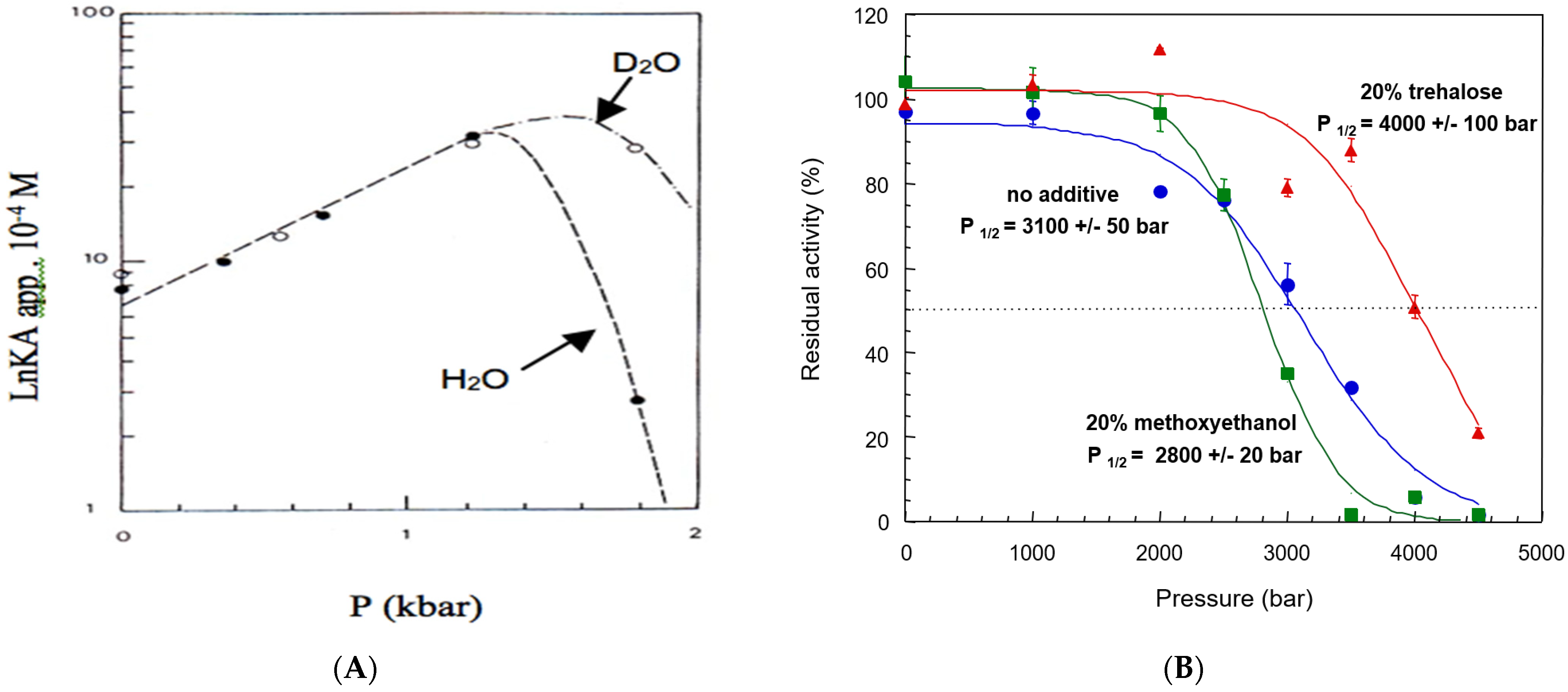 Molecules 27 06861 g002 Molecules 27 06861 g002