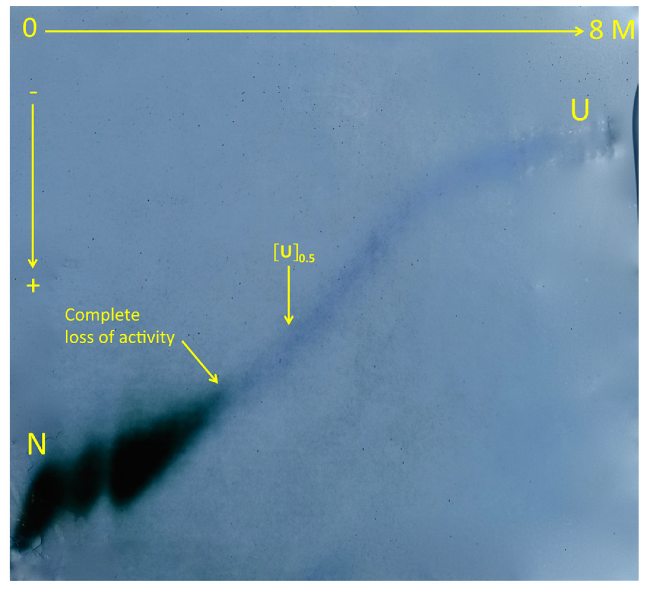 Molecules 27 06861 g006 Molecules 27 06861 g006