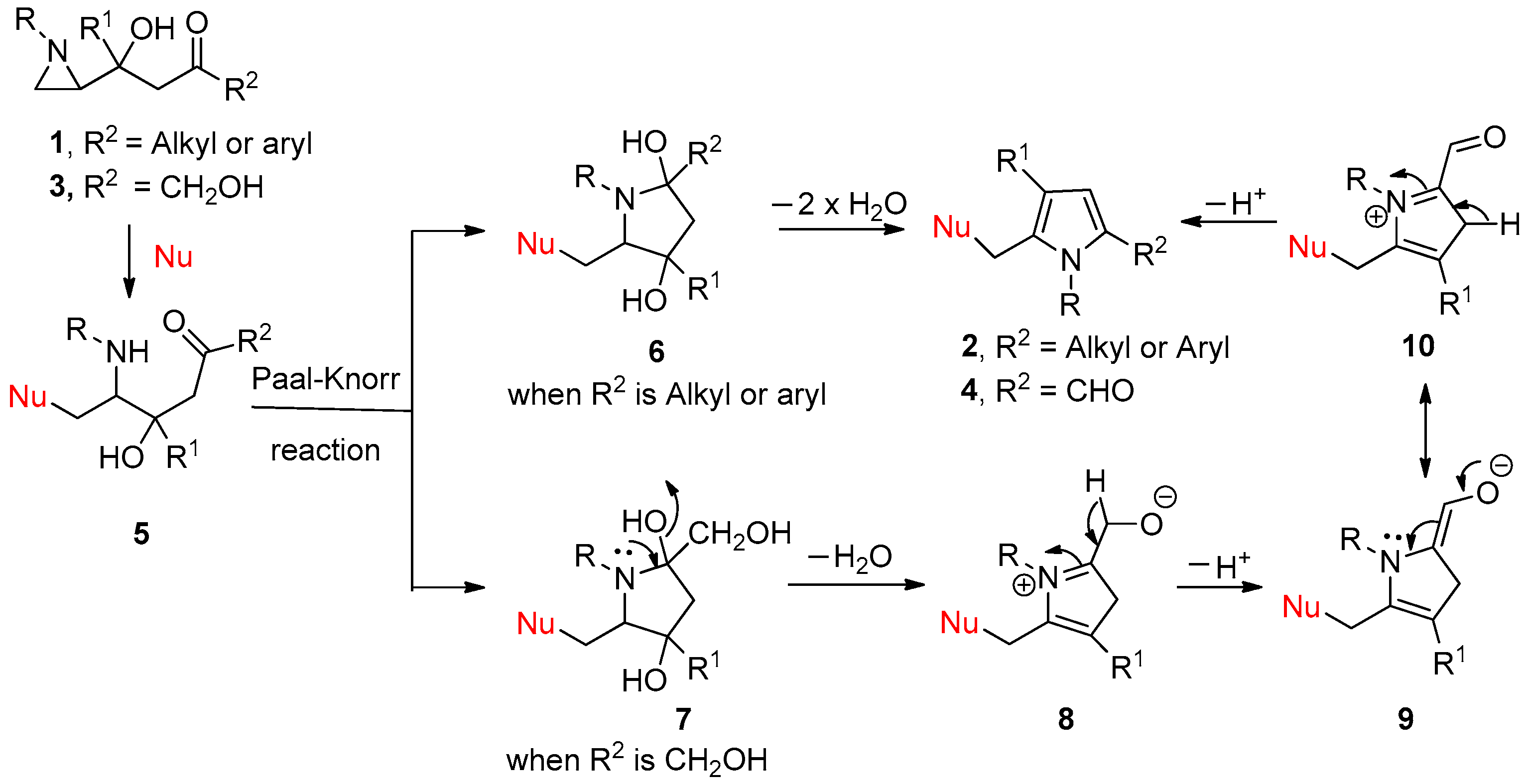 Molecules 27 06869 sch005 Molecules 27 06869 sch005