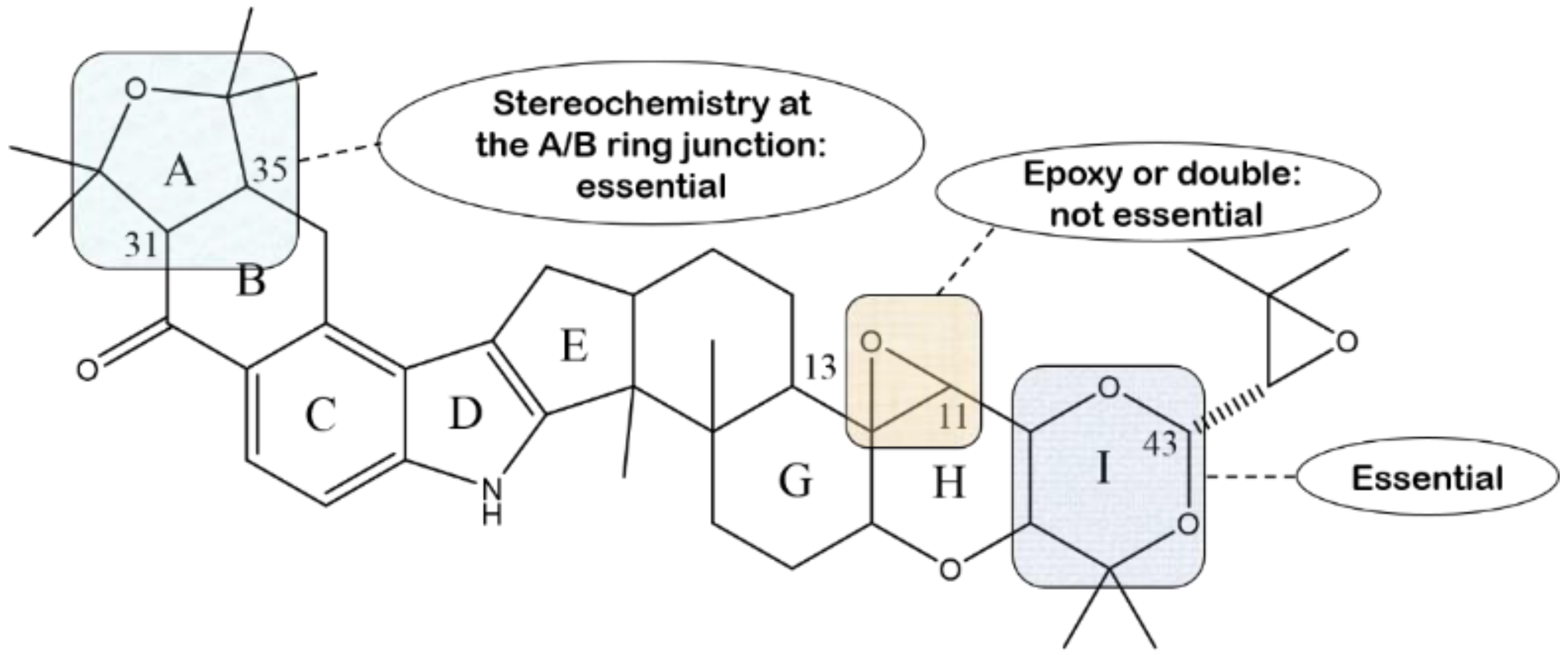 Molecules 27 06870 g018