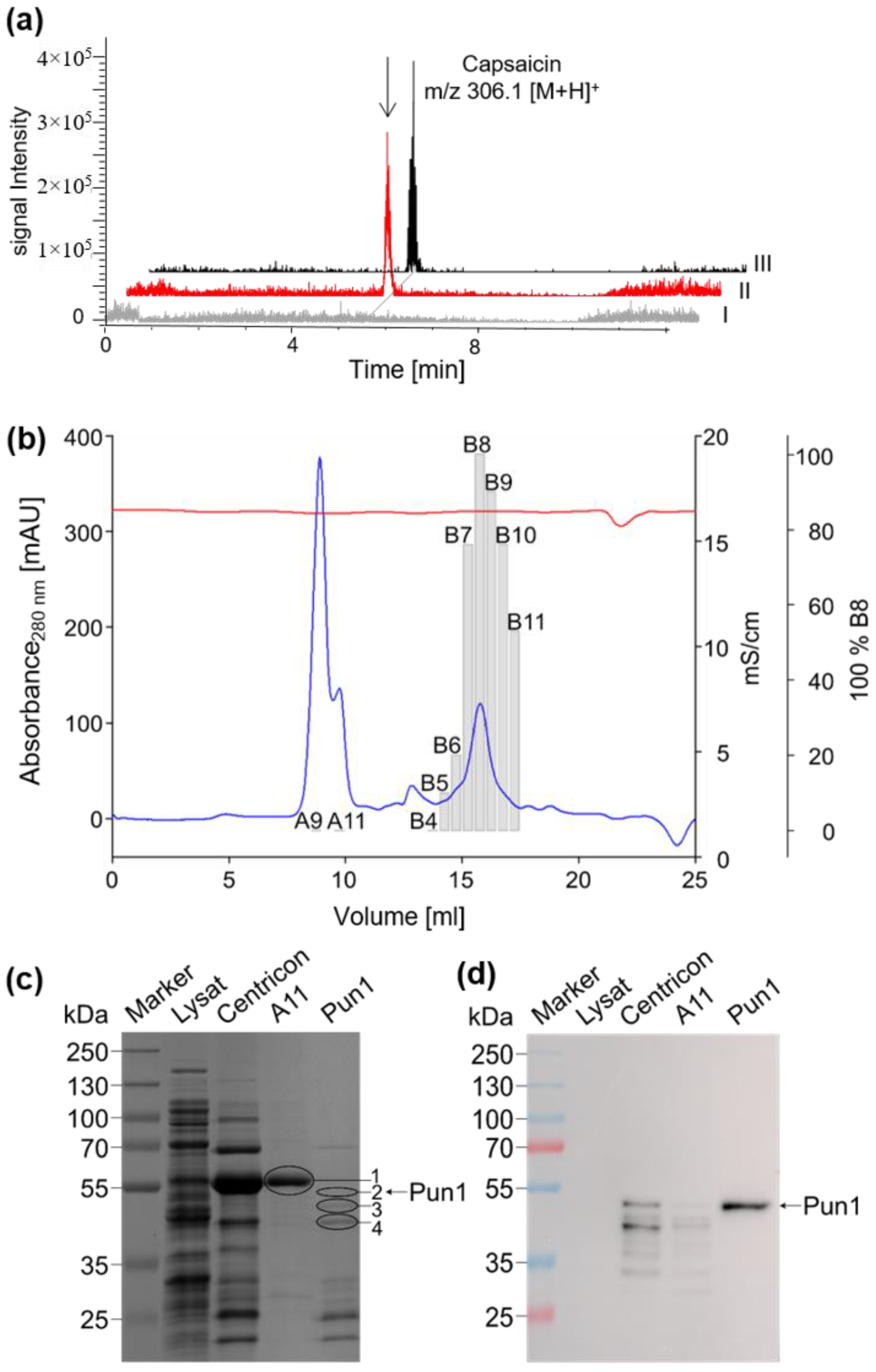 Molecules 27 06878 g002 Molecules 27 06878 g002