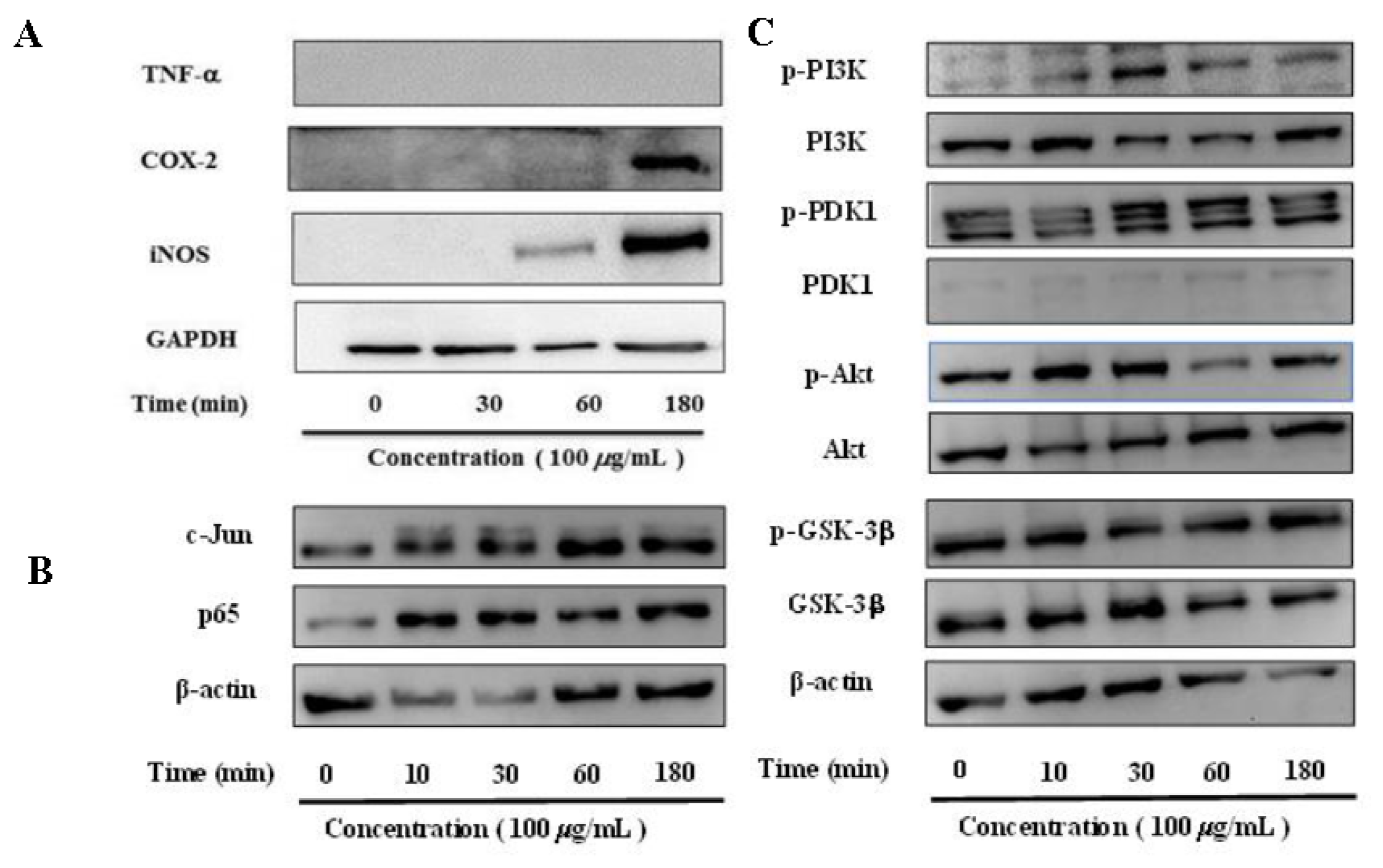 Molecules 27 06880 g005 Molecules 27 06880 g005