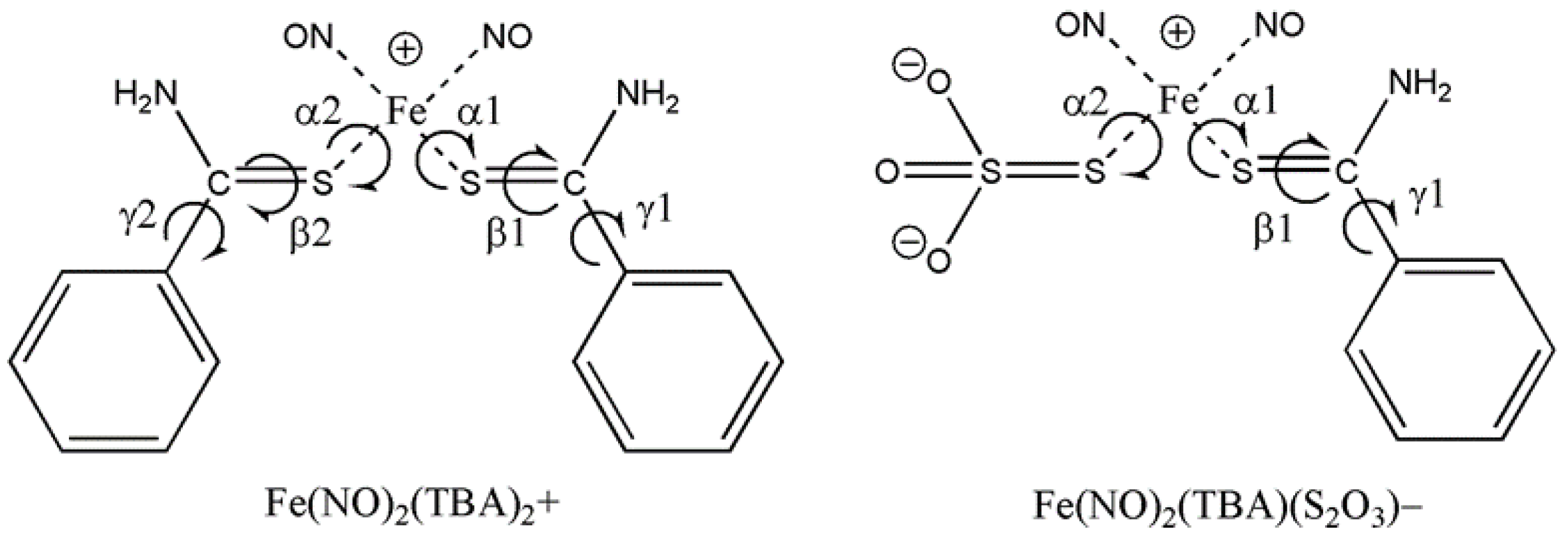 Molecules 27 06886 g004 Molecules 27 06886 g004