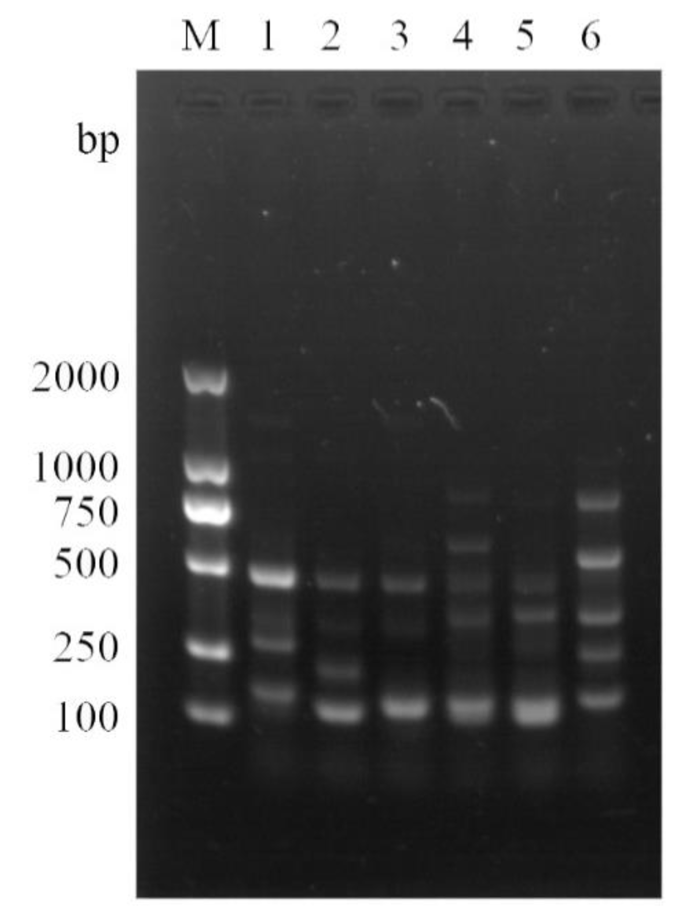 Molecules 27 06892 g001