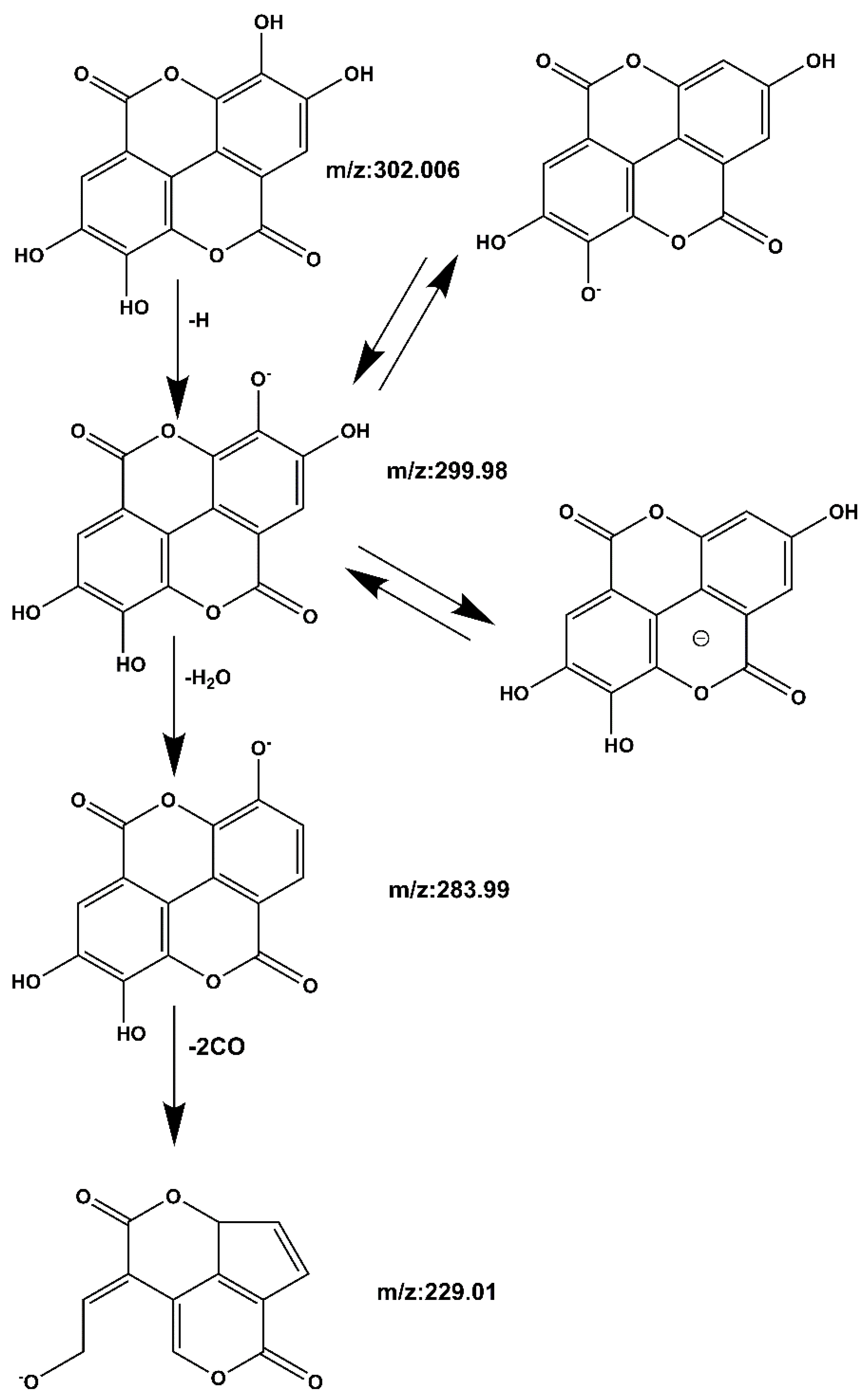 Molecules 27 06893 g007 Molecules 27 06893 g007
