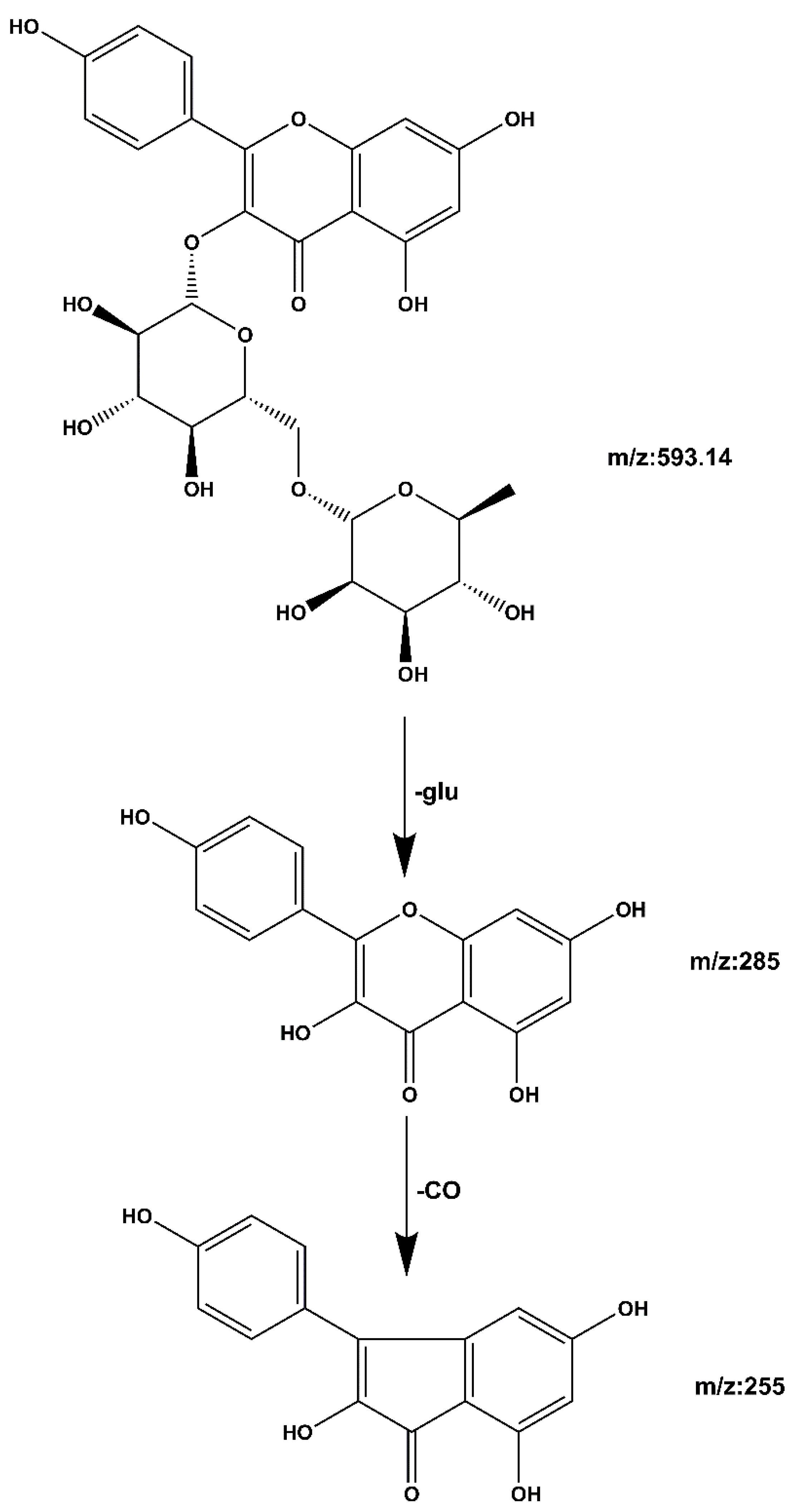 Molecules 27 06893 g008 Molecules 27 06893 g008