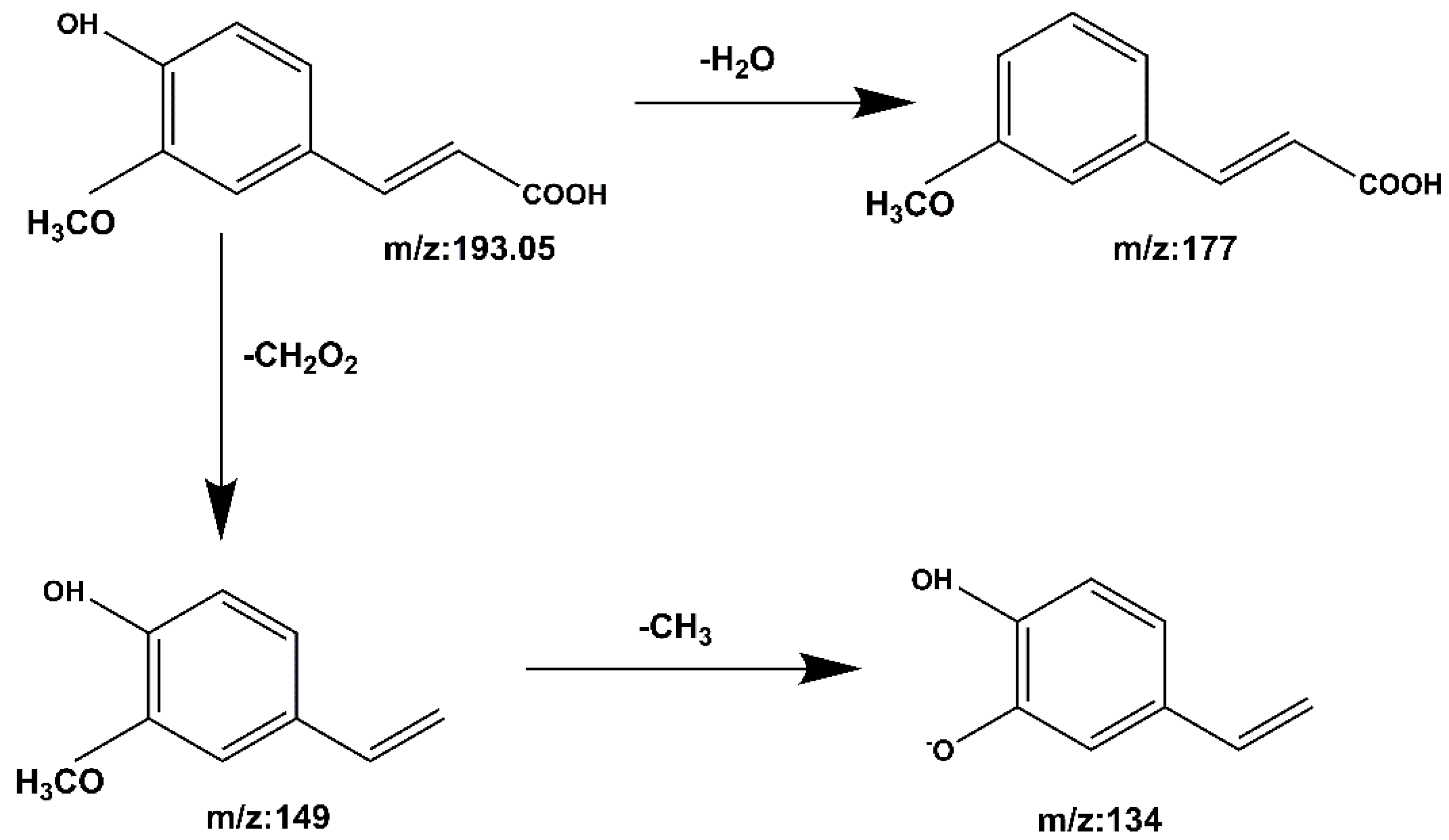 Molecules 27 06893 g011 Molecules 27 06893 g011