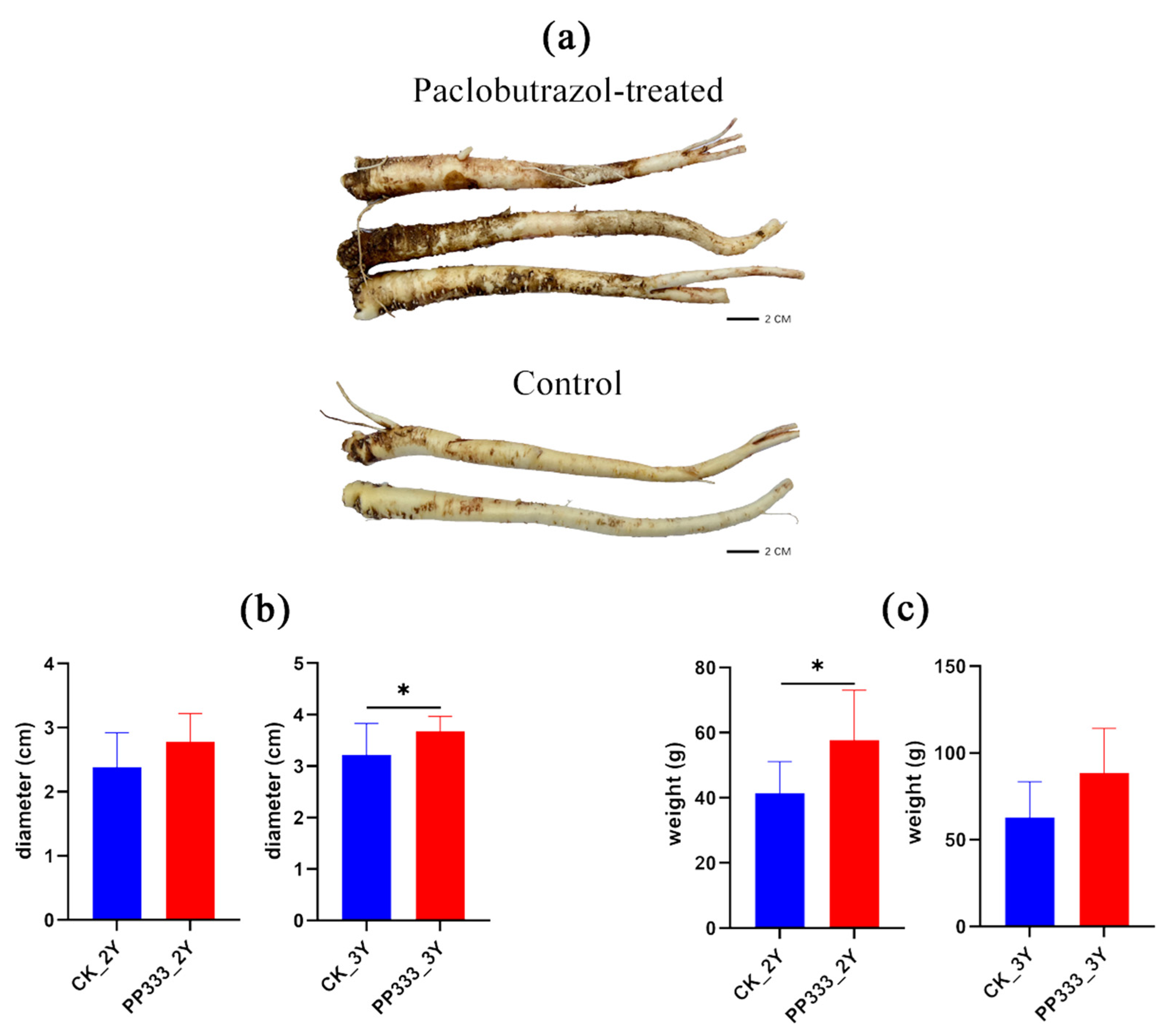 Molecules 27 06902 g001 Molecules 27 06902 g001
