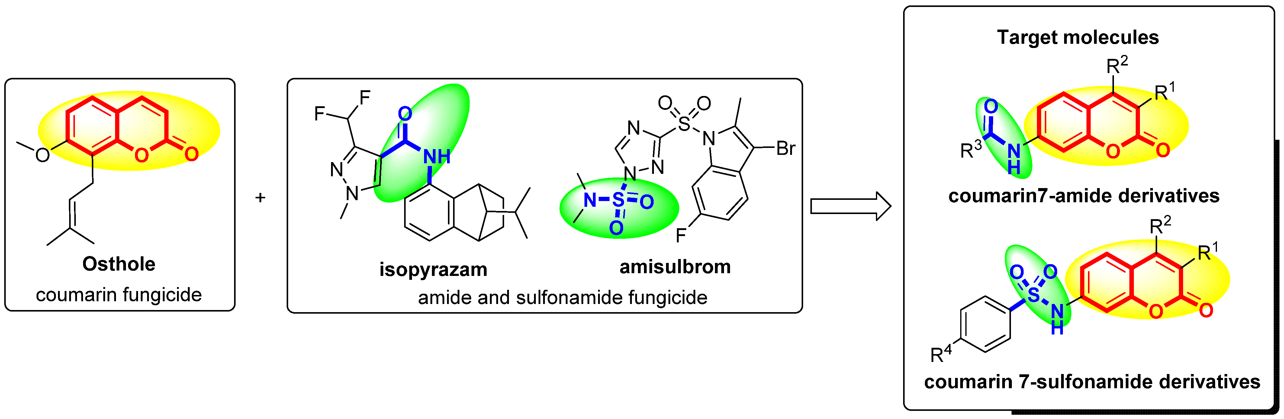 Molecules 27 06904 g003