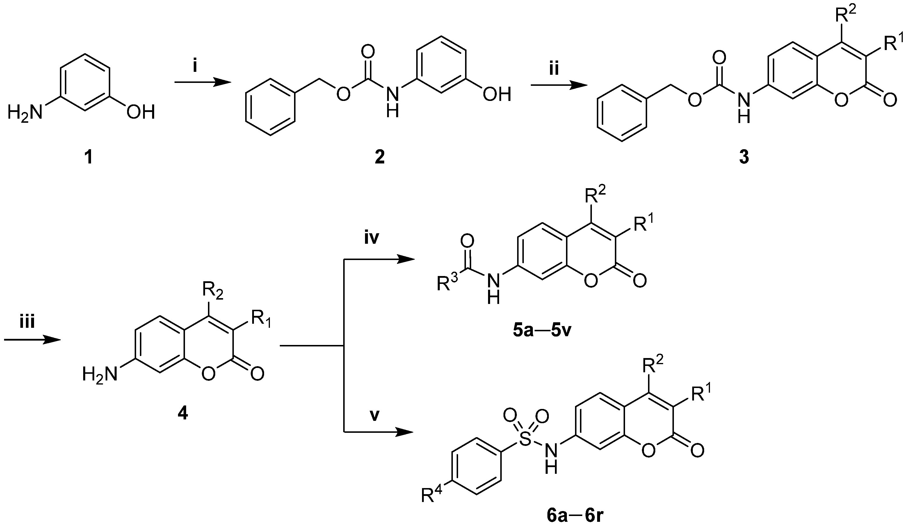 Molecules 27 06904 sch001