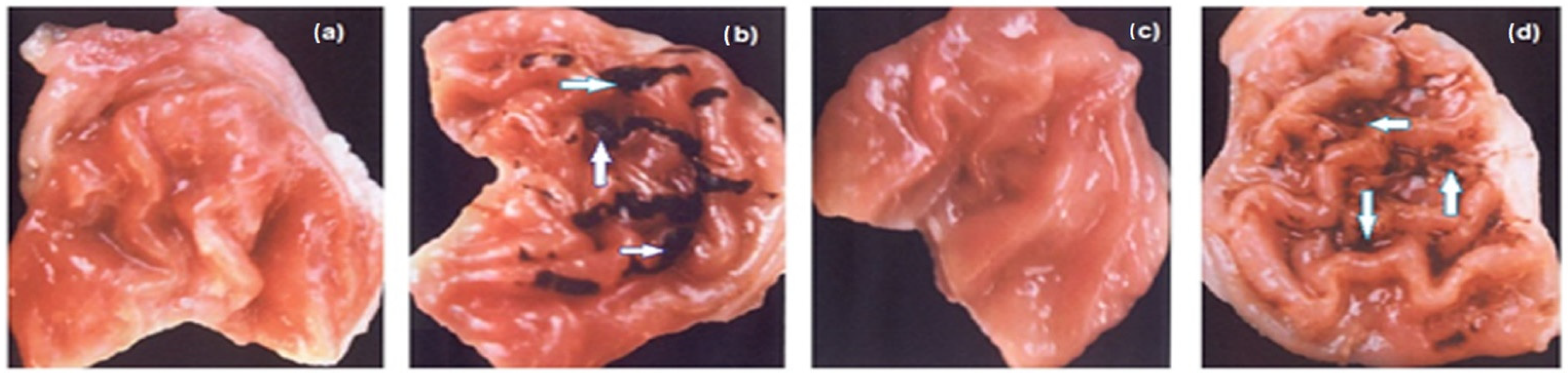 Molecules 27 06905 g010