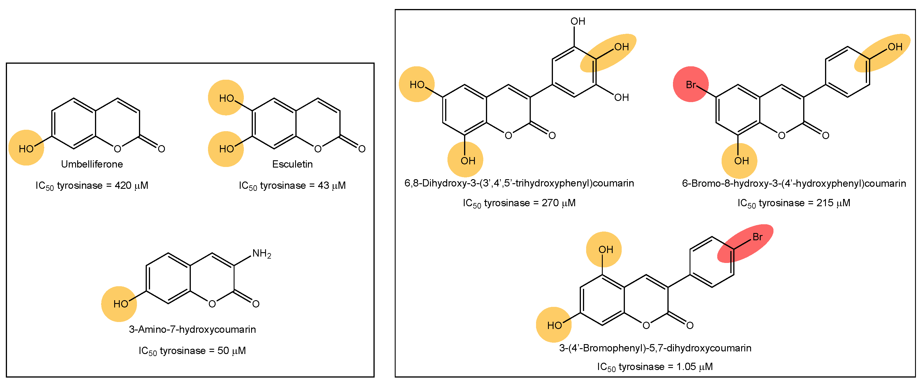 Molecules 27 06914 g001 Molecules 27 06914 g001