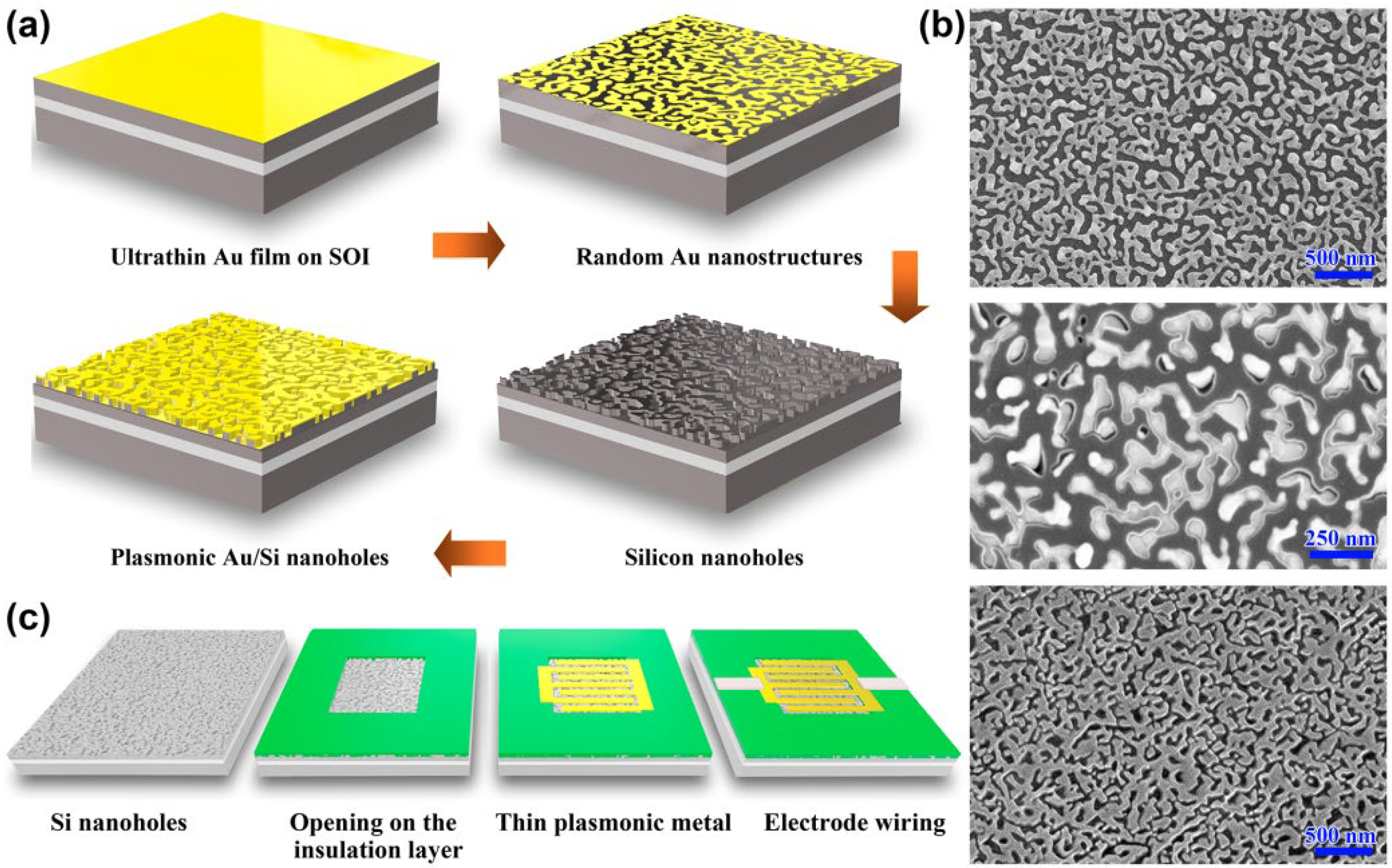 Molecules 27 06922 g002