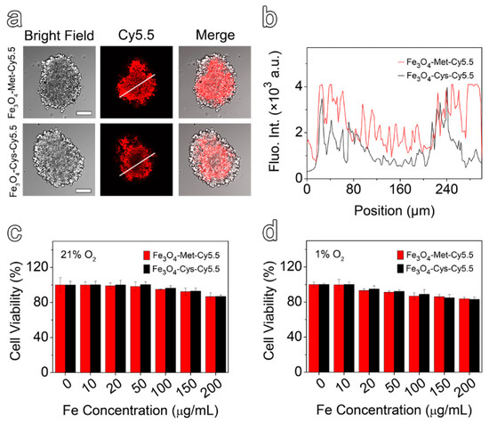 Functionalized Ultrasmall Iron Oxide Nanoparticles for T1-Weighted