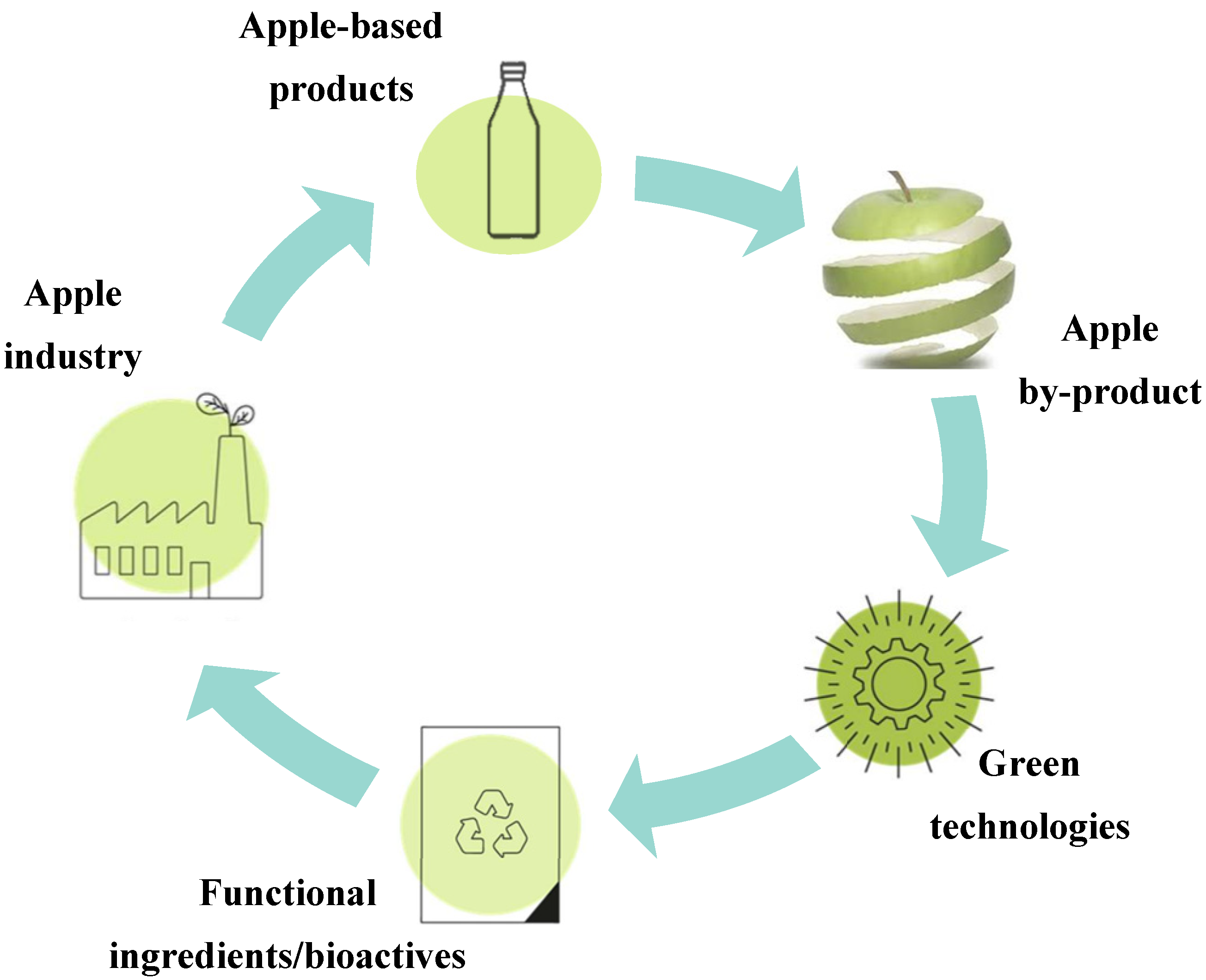 Molecules 27 06937 g004