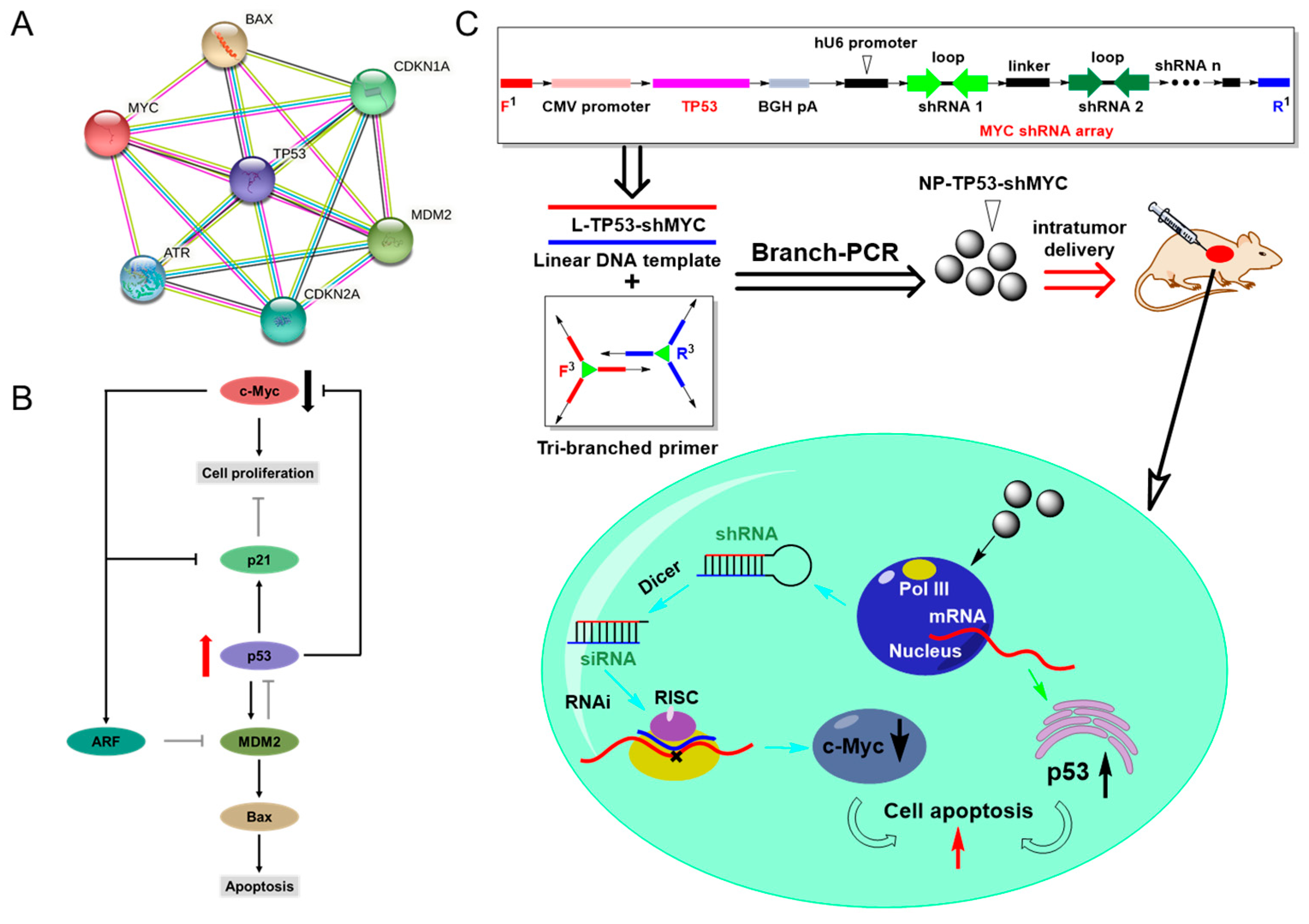 Molecules 27 06943 g001
