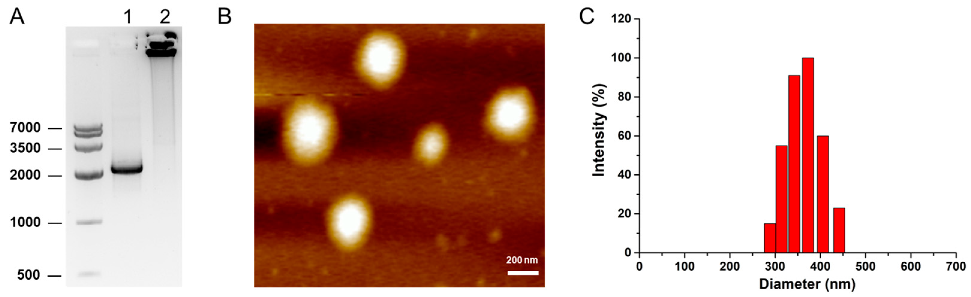 Molecules 27 06943 g002