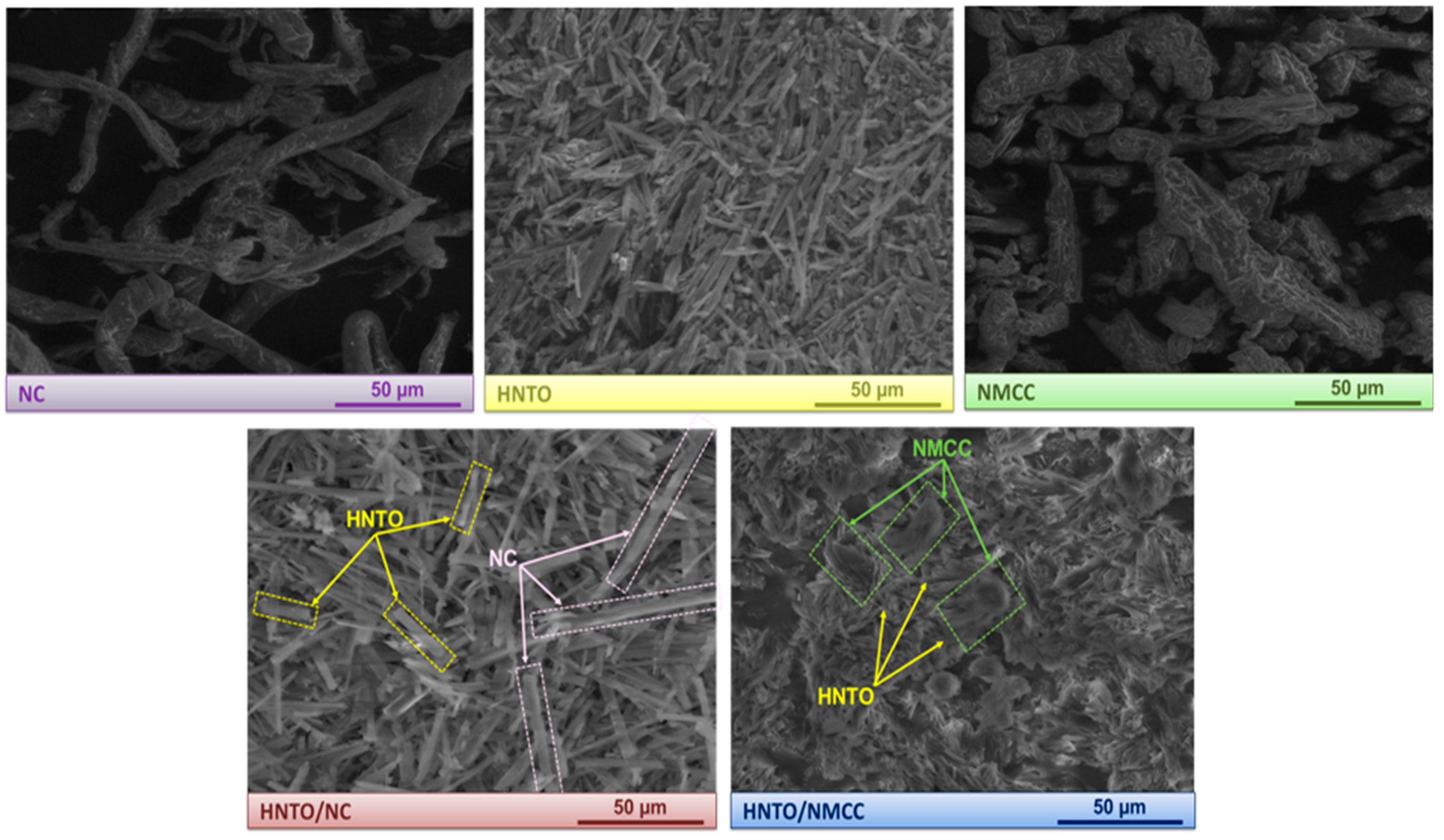 Molecules 27 06945 g002