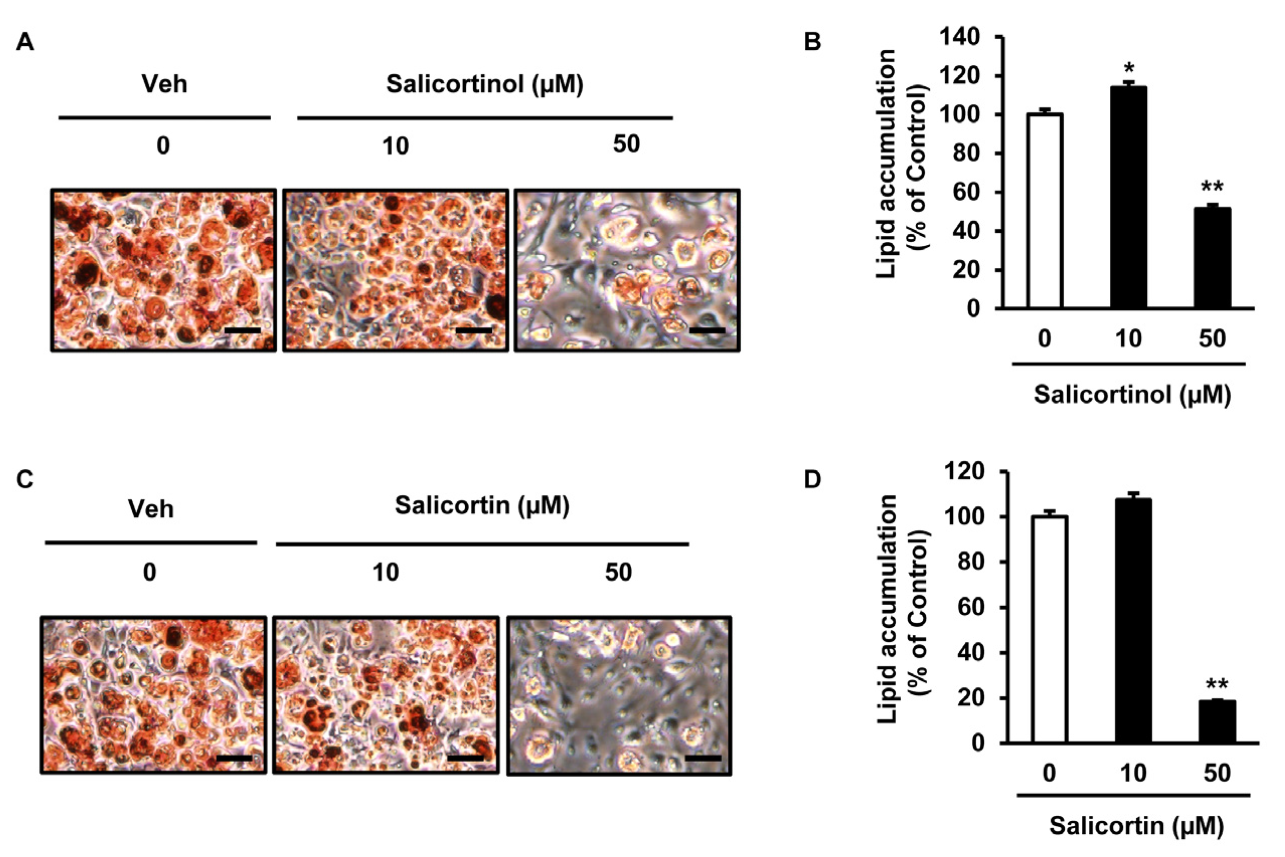 Molecules 27 06954 g003