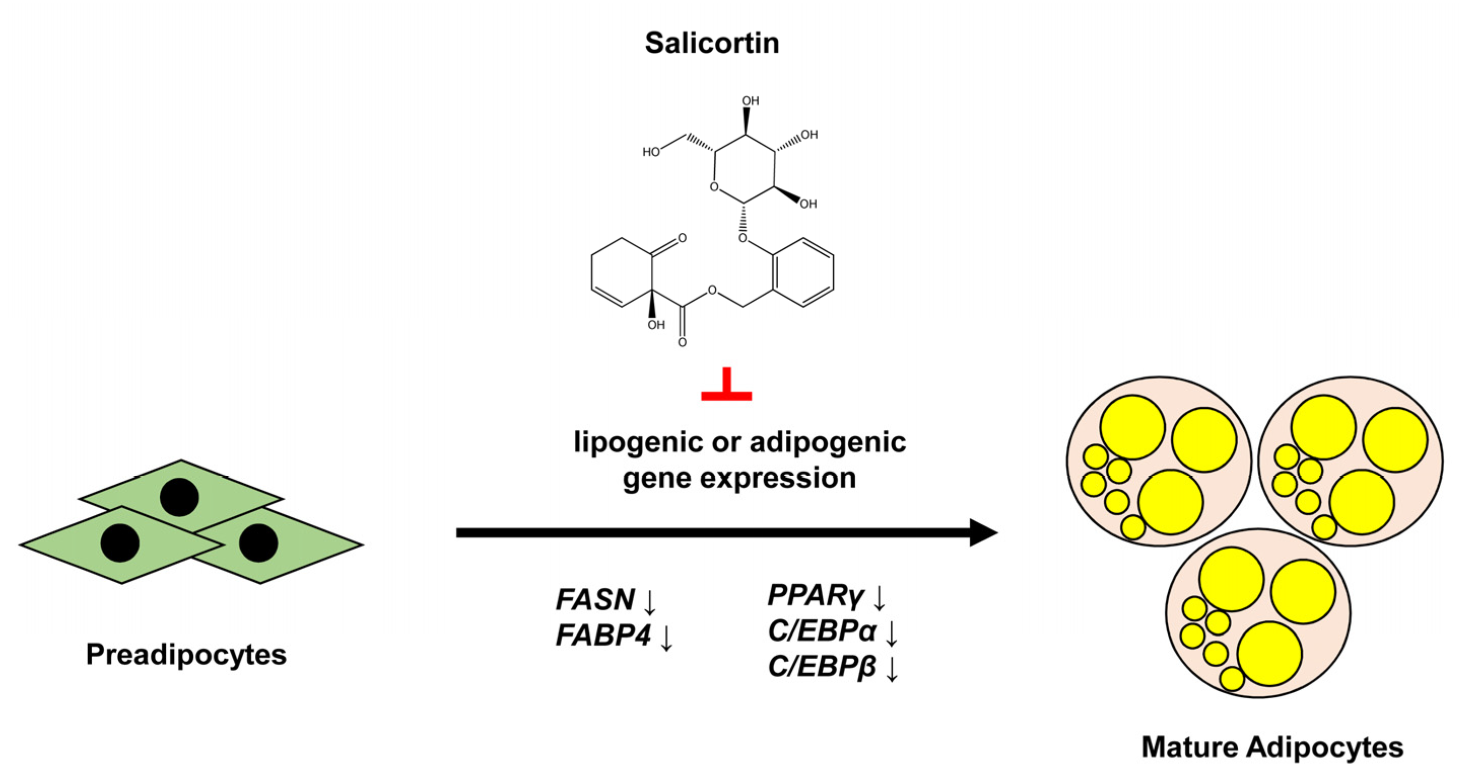 Molecules 27 06954 g005