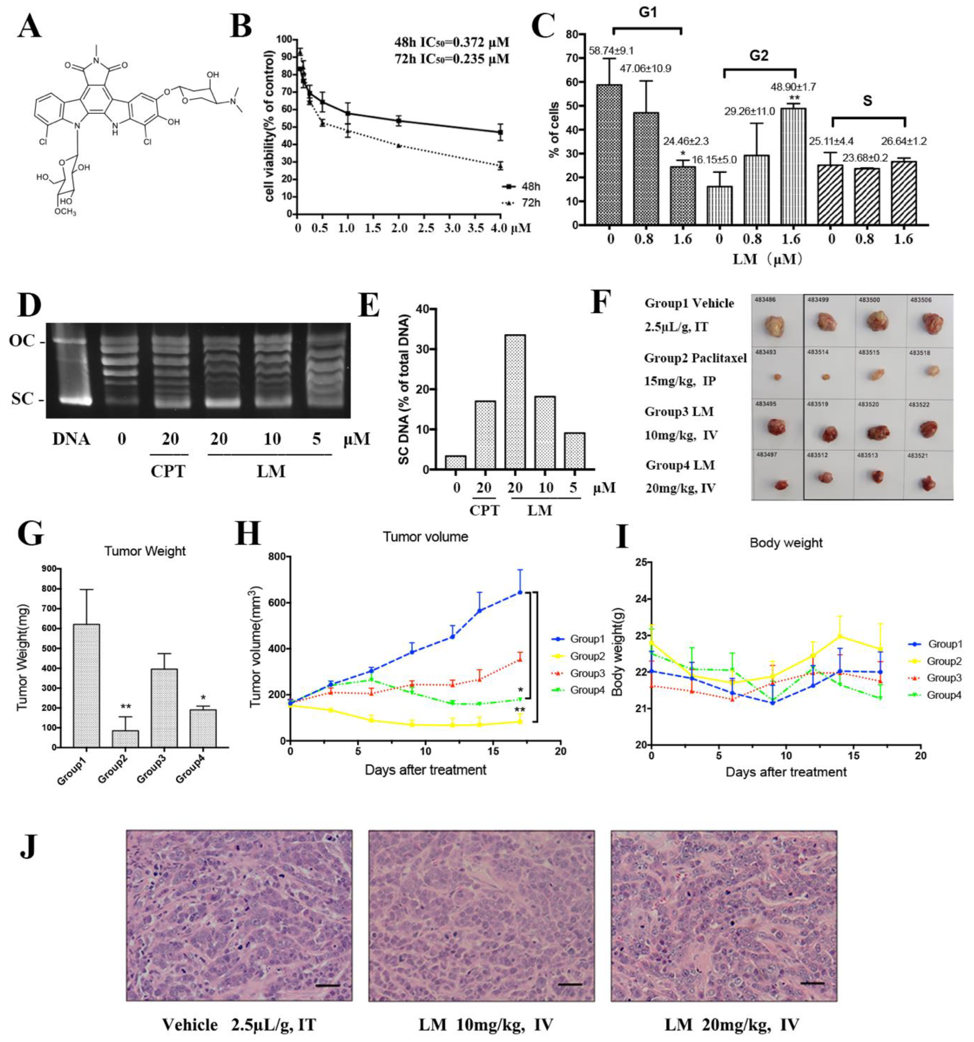 Molecules 27 06958 g001 Molecules 27 06958 g001