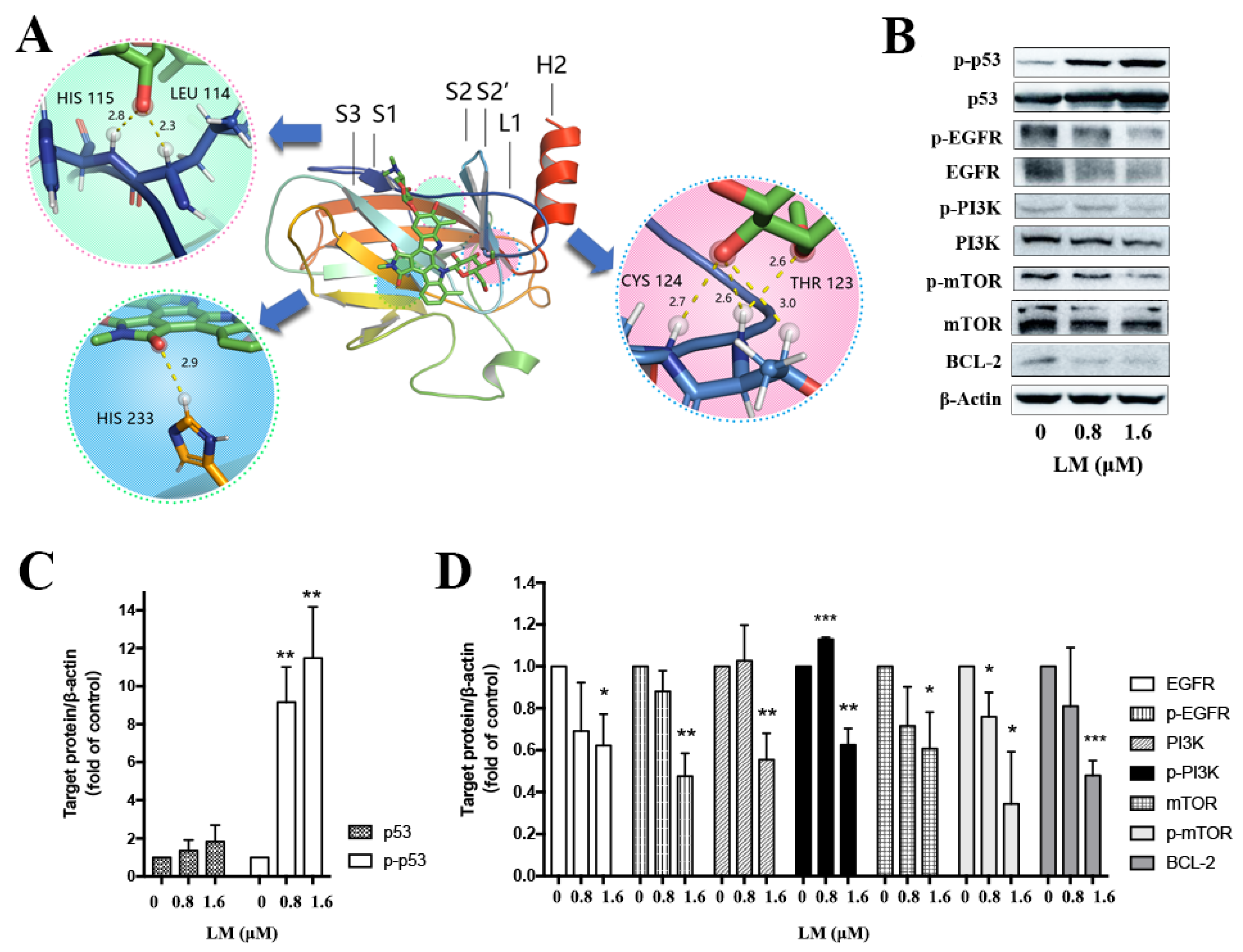 Molecules 27 06958 g004 Molecules 27 06958 g004