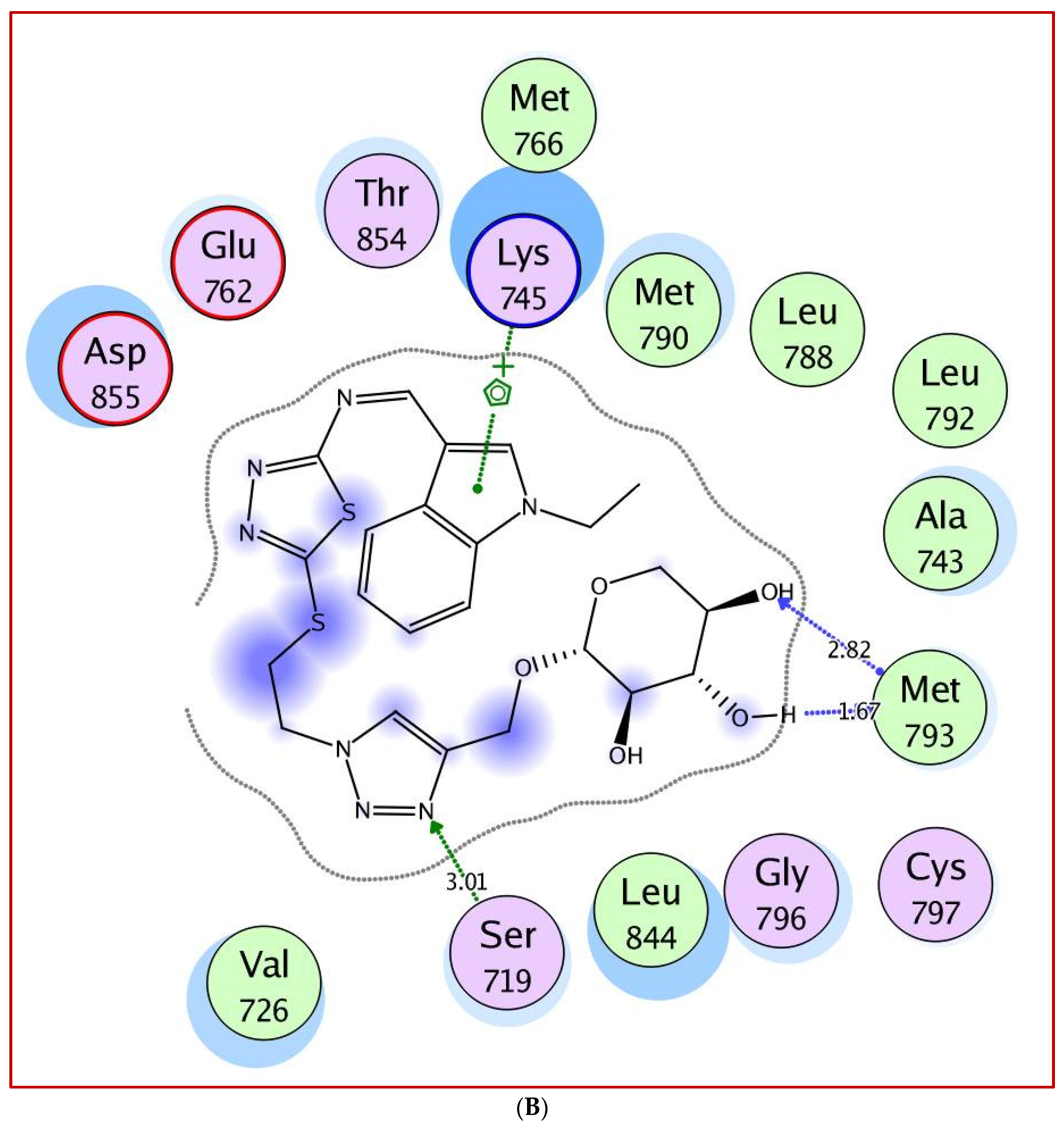 Molecules 27 06960 g005b