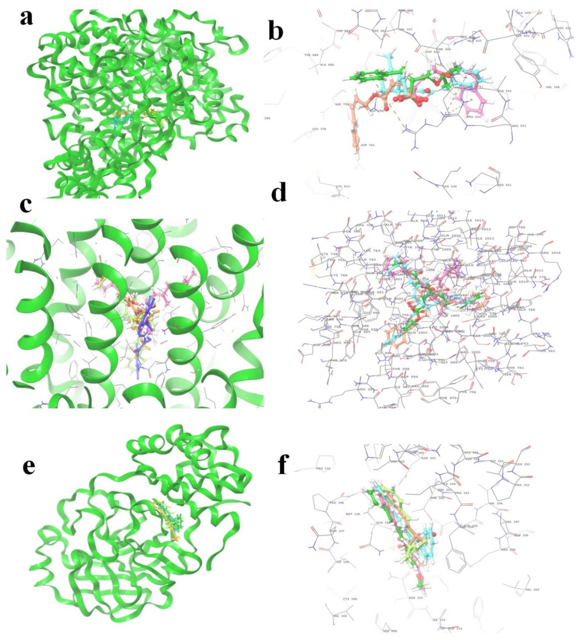 Molecules 27 06962 g005 Molecules 27 06962 g005