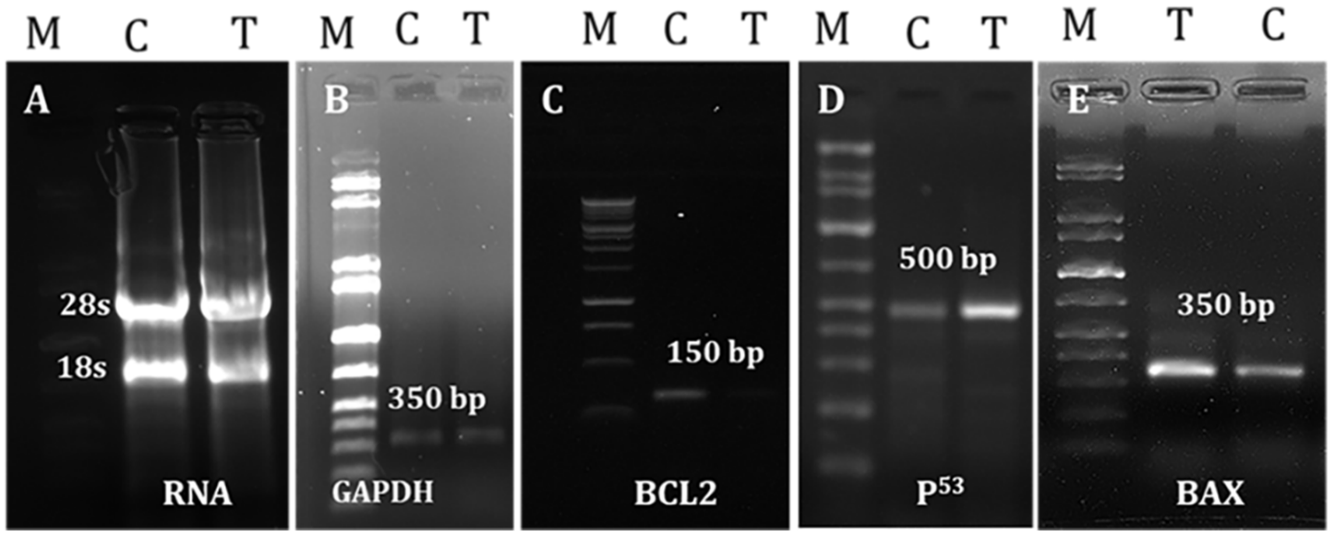 Molecules 27 06964 g004 Molecules 27 06964 g004