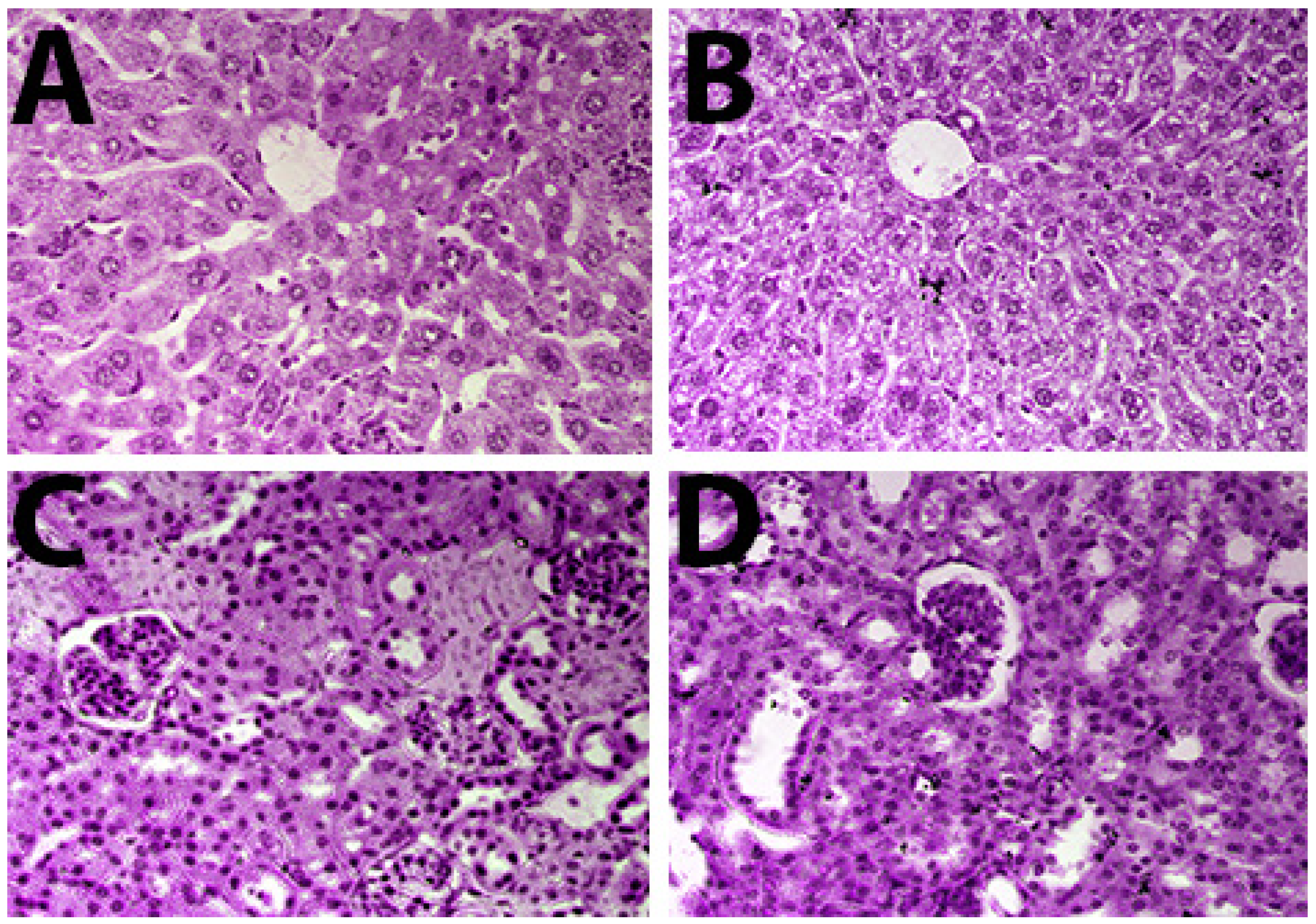 Molecules 27 06964 g005 Molecules 27 06964 g005