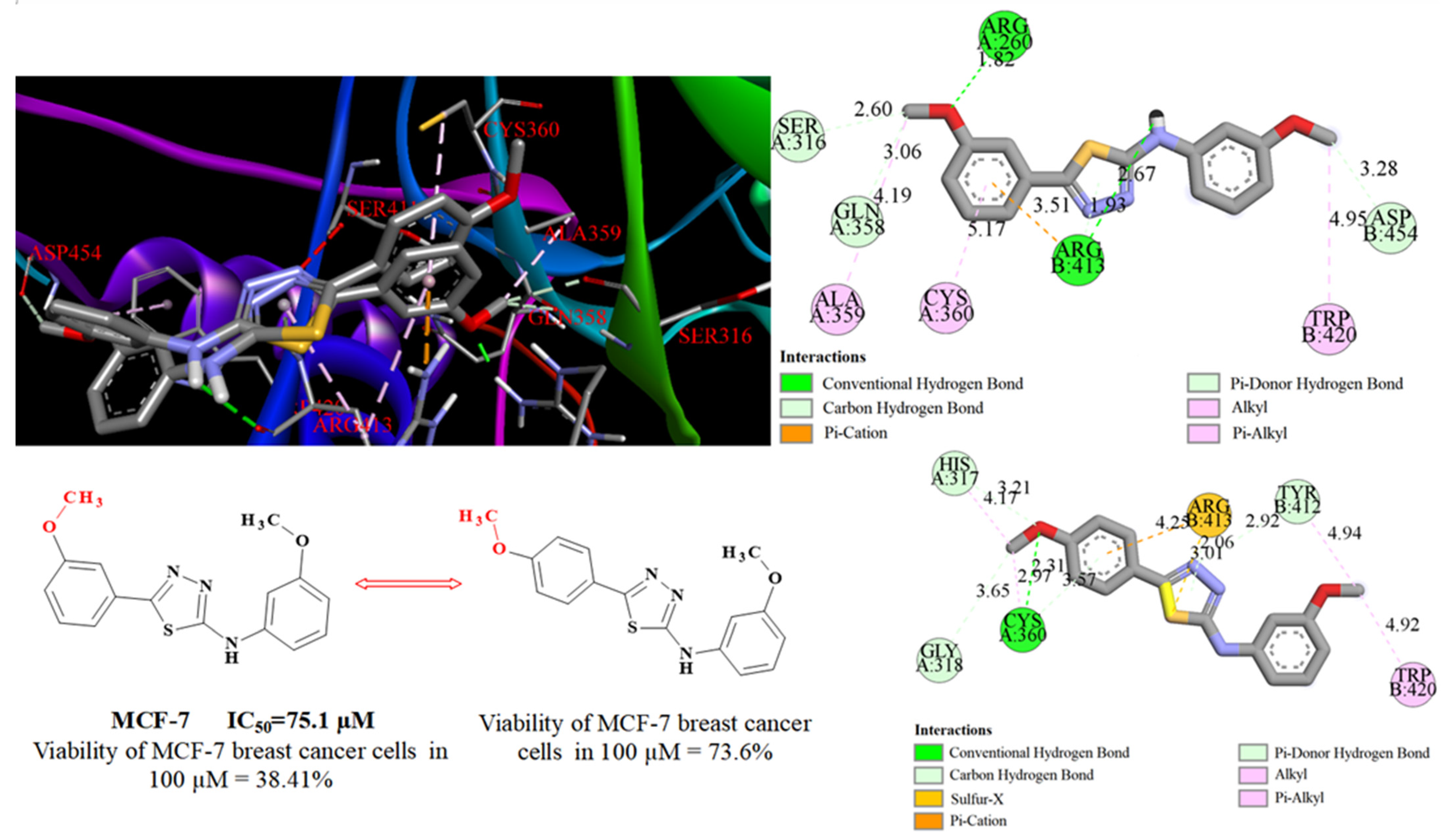 Molecules 27 06977 g006