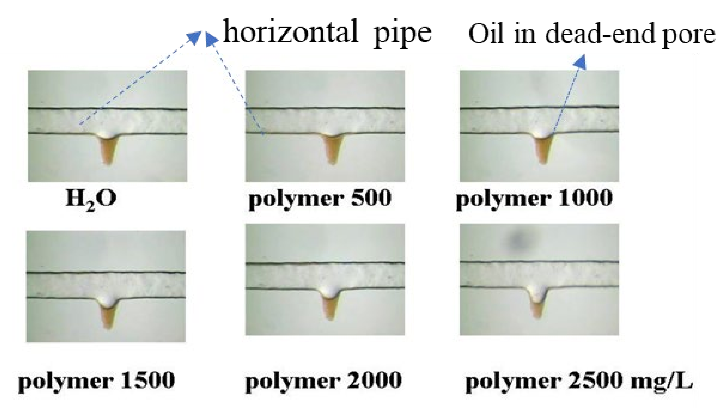 Molecules 27 06978 g003 Molecules 27 06978 g003