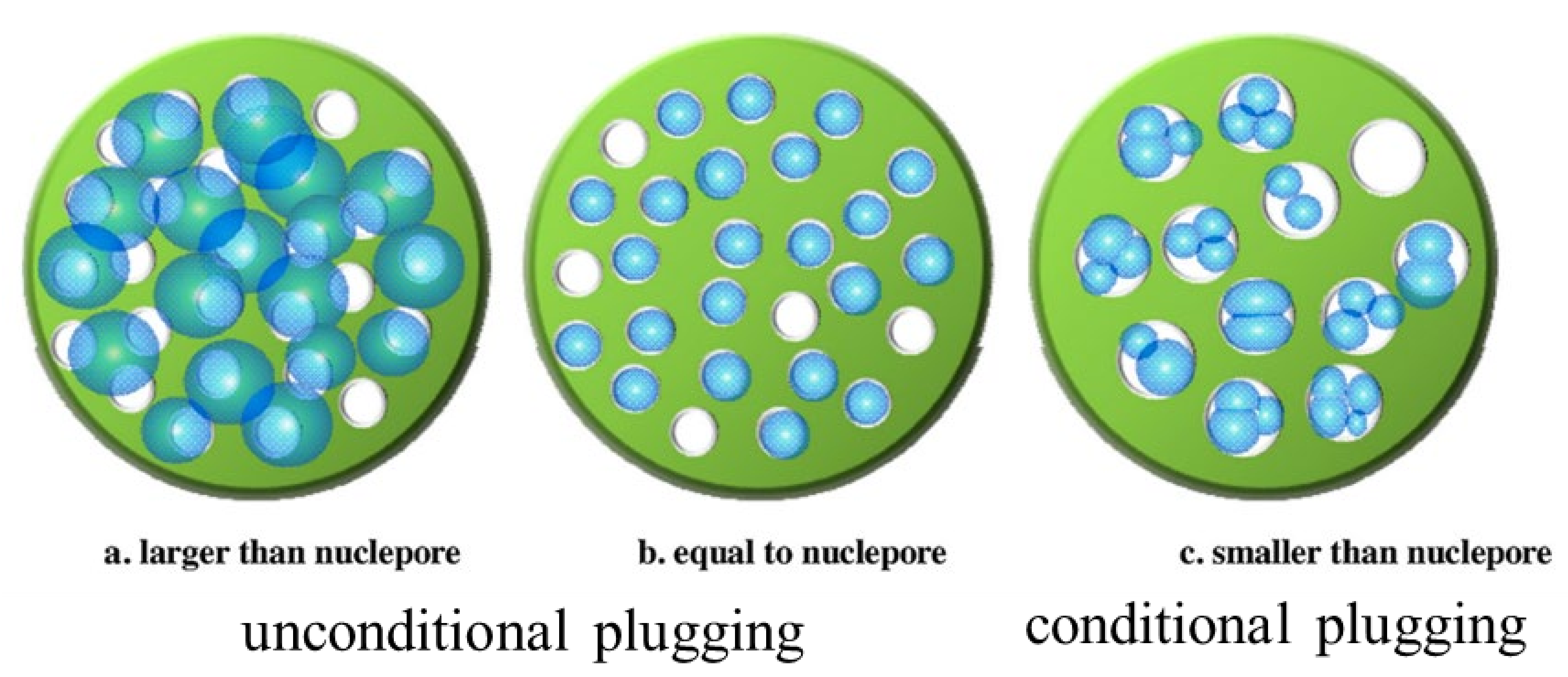 Molecules 27 06978 g006 Molecules 27 06978 g006